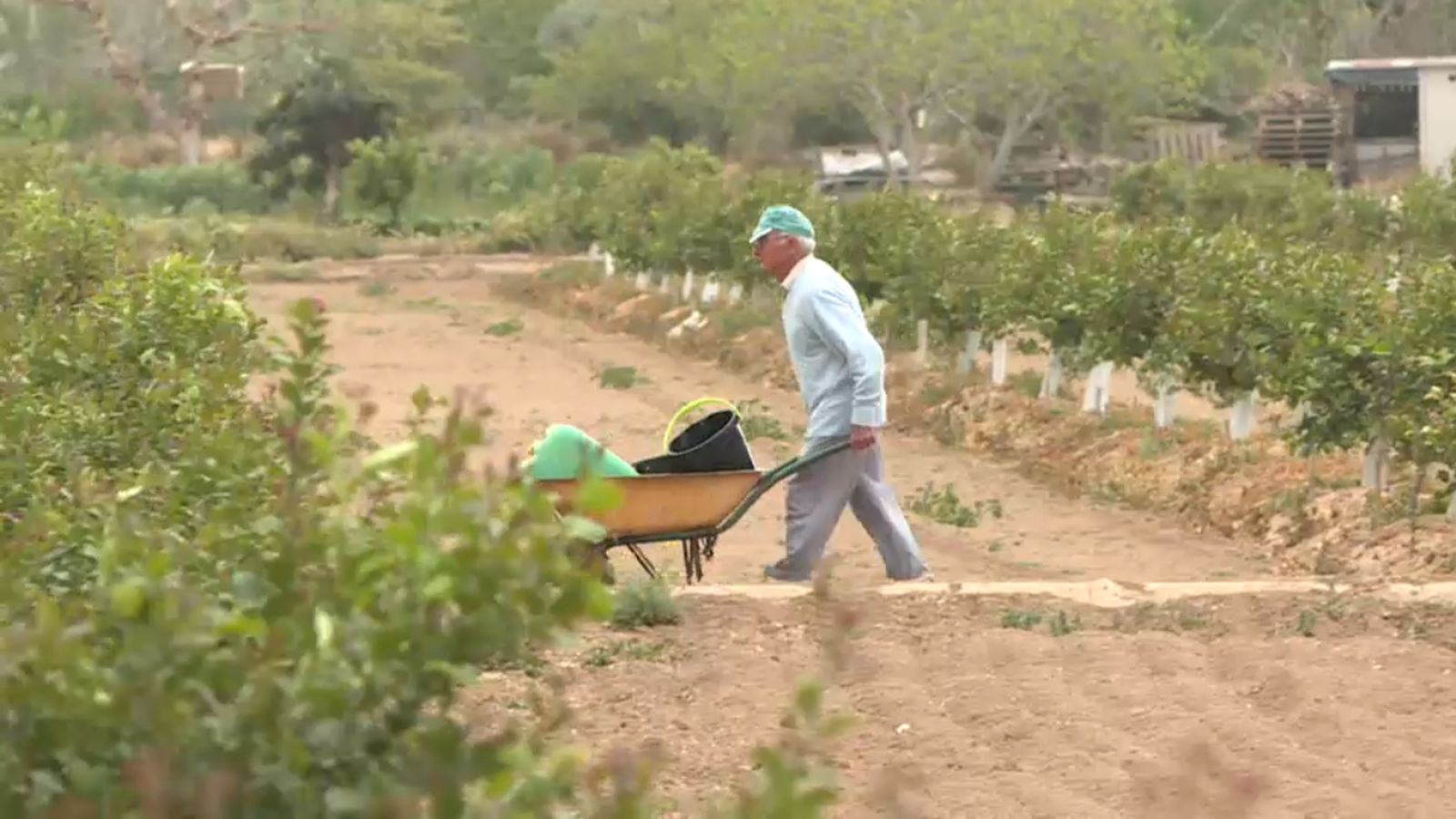 Agricultor en un camp de les comarques del sud