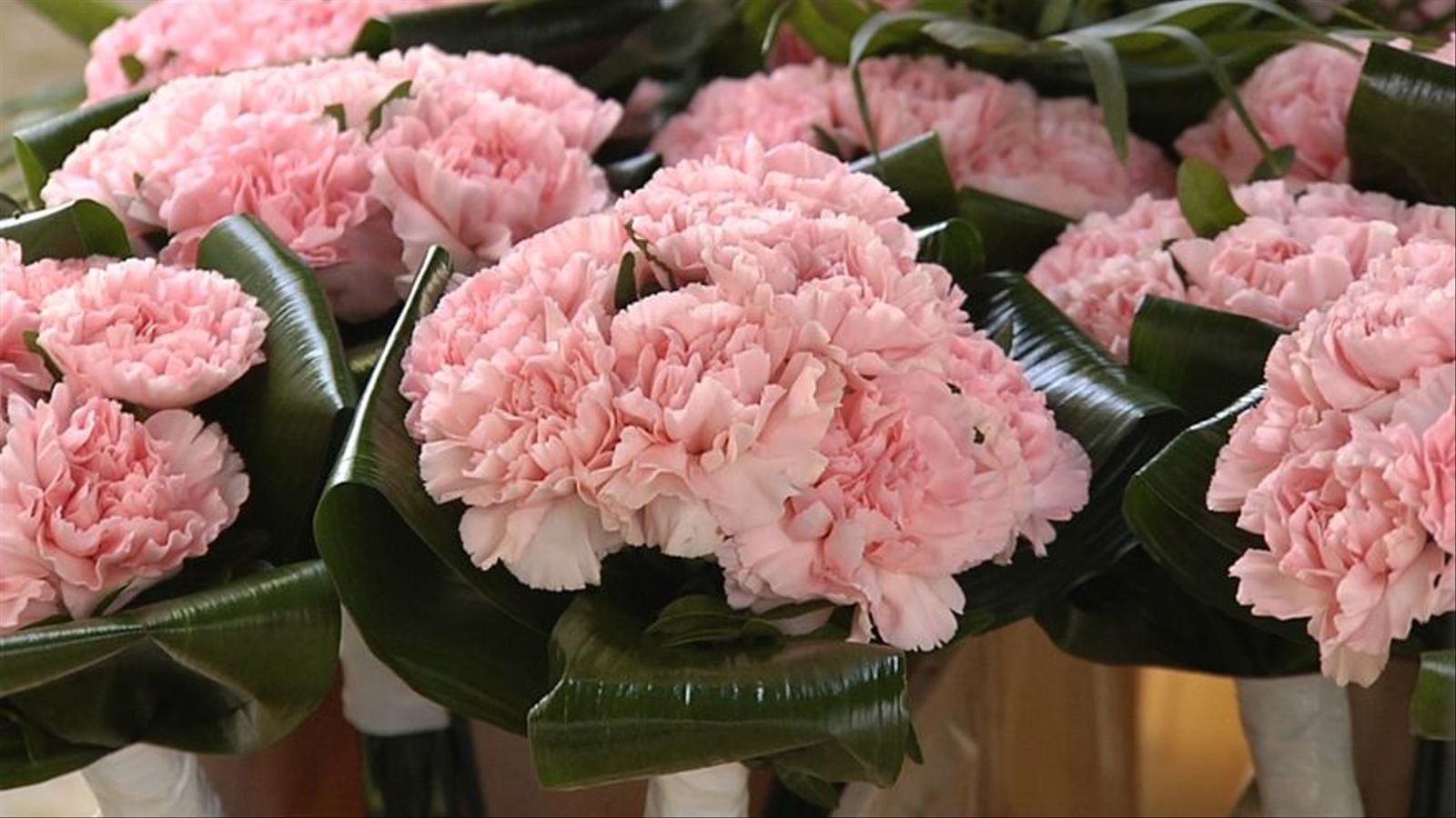 Les floristeries s'han vist beneficiades per la tornada de les Falles