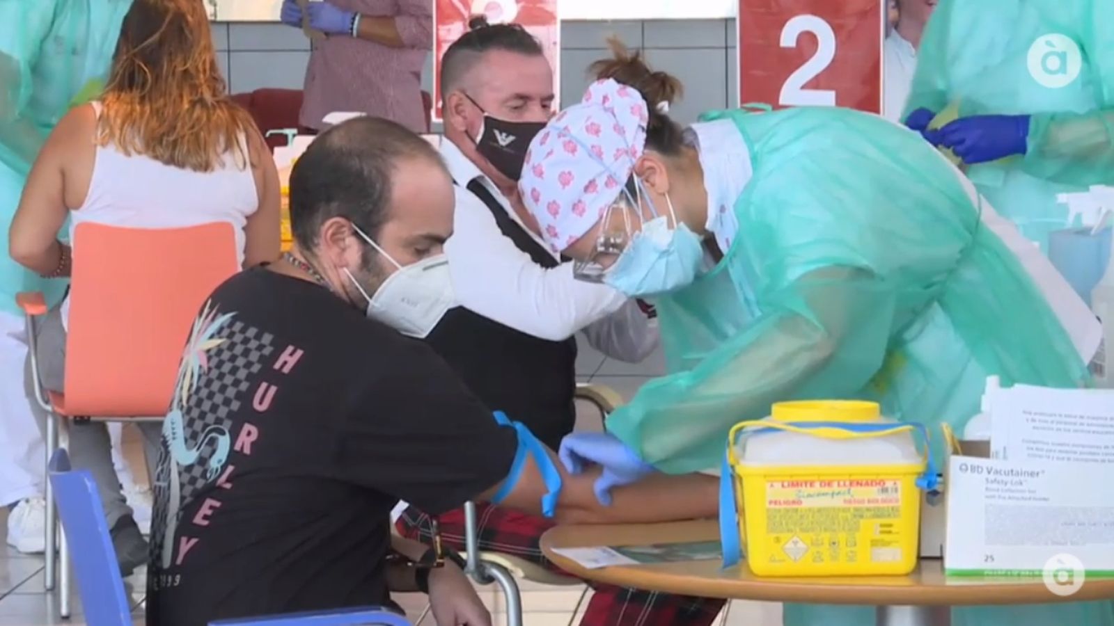 Proves serològiques a la comunitat educativa de Torrevella