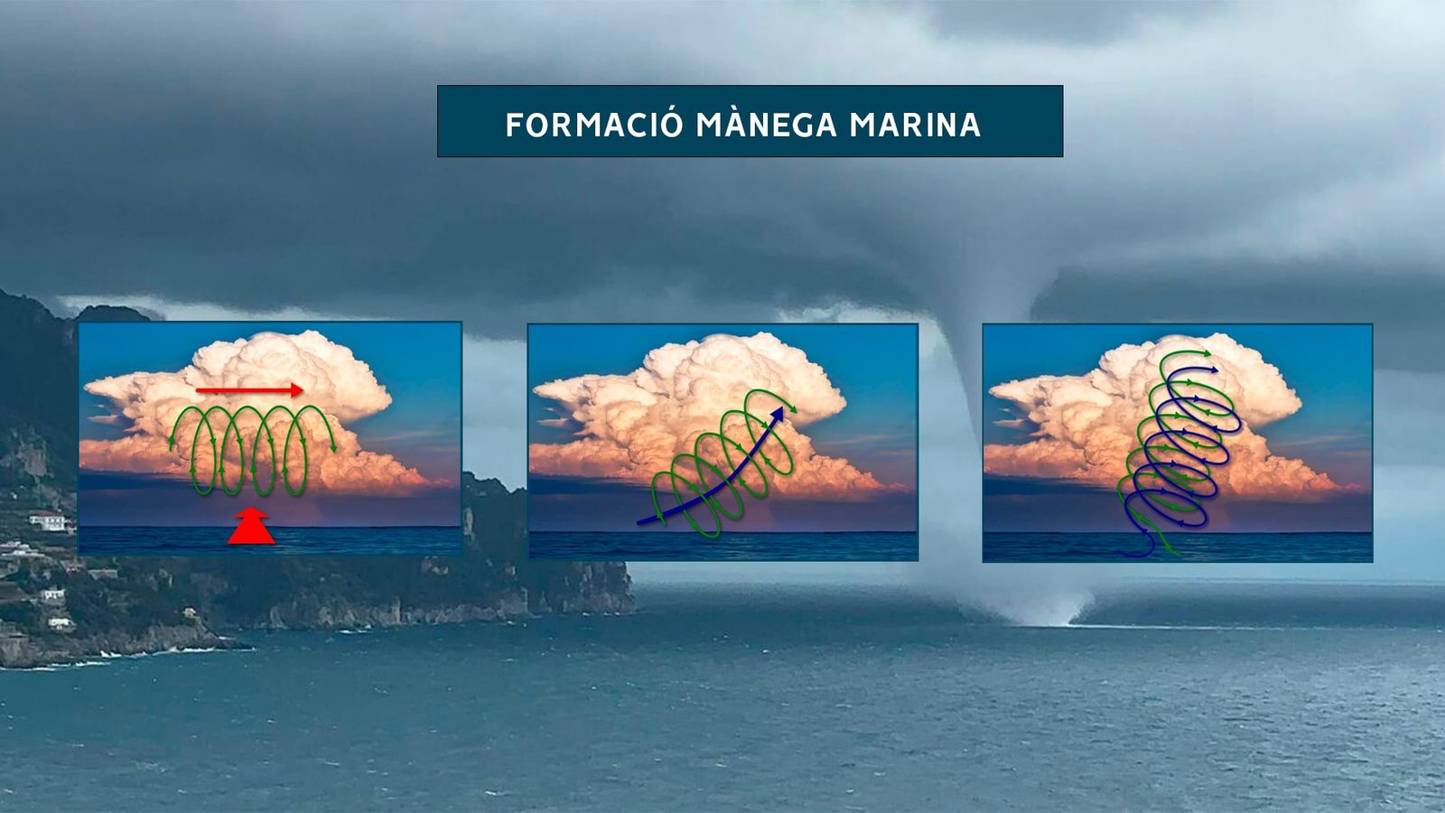 Fases de formació d'una mànega marina