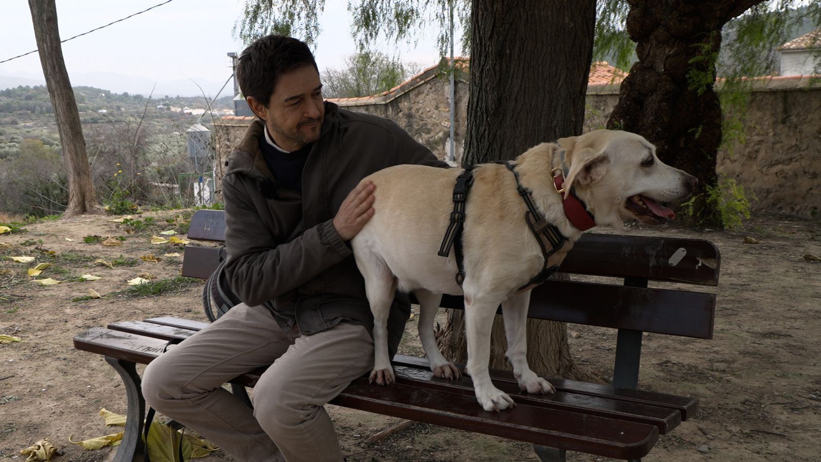 Animalades | Benestar físic i emocional