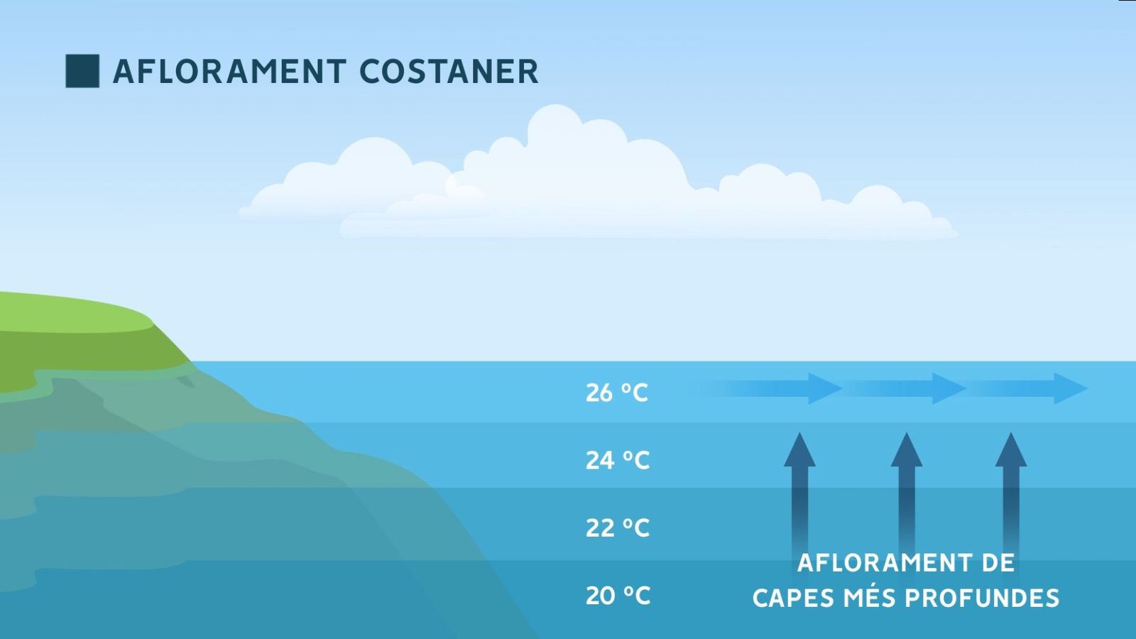 Aflorament costaner. Les capes més profundes i fresques de la mar afloren a la superfície per a omplir l'espai deixat pel corrent superficial.