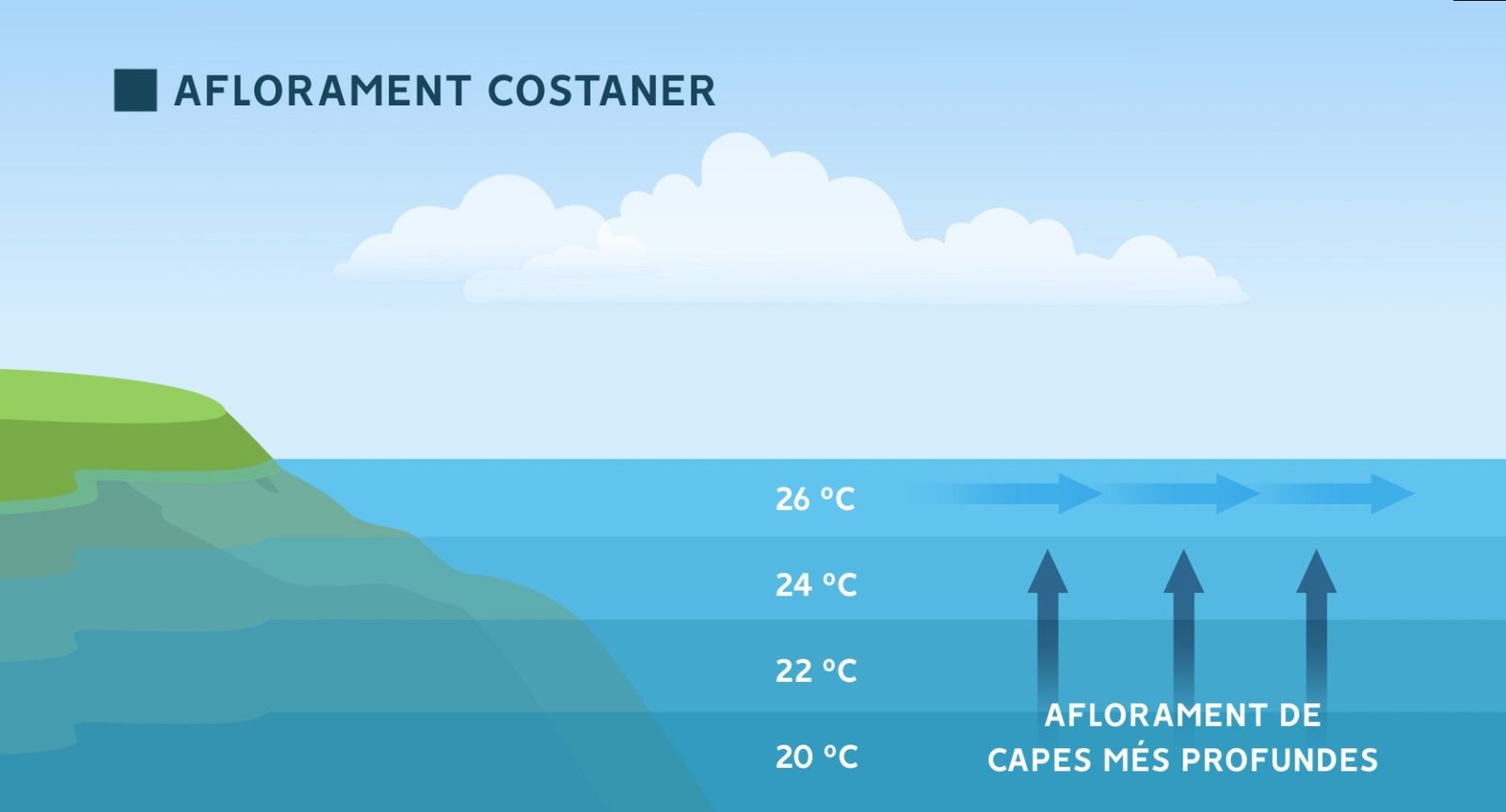 Aflorament costaner. Les capes més profundes i fresques de la mar afloren a la superfície per a omplir l'espai deixat pel corrent superficial.