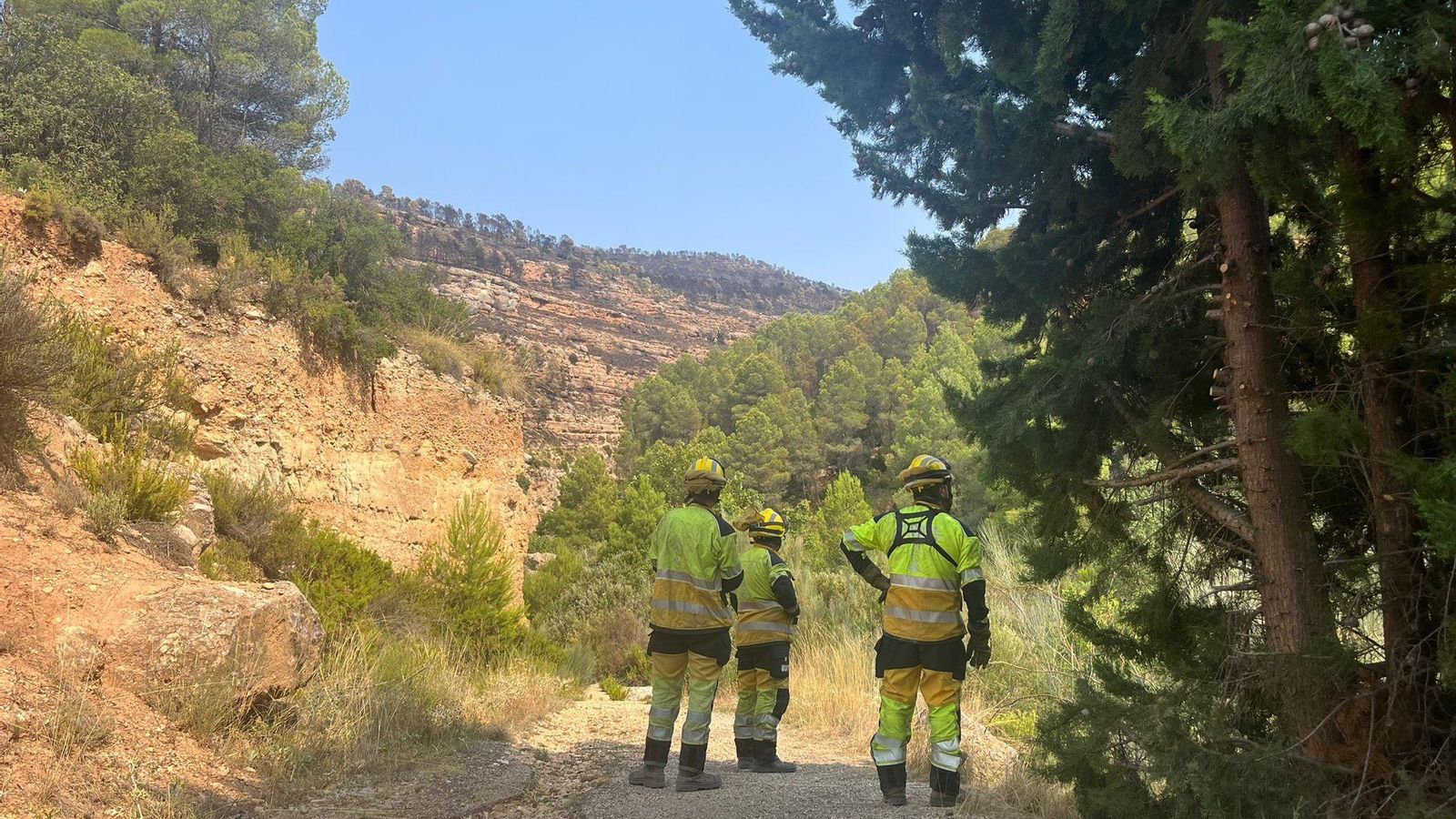 Bombers del dispositiu d'extinció de Teresa de Cofrentes, este dissabte
