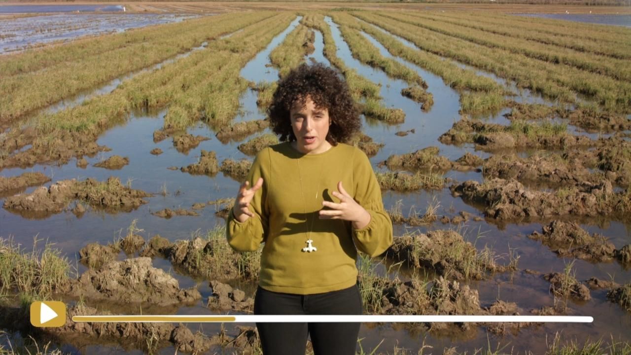 Repassem la segona conjugació verbal amb Irene Rodrigo