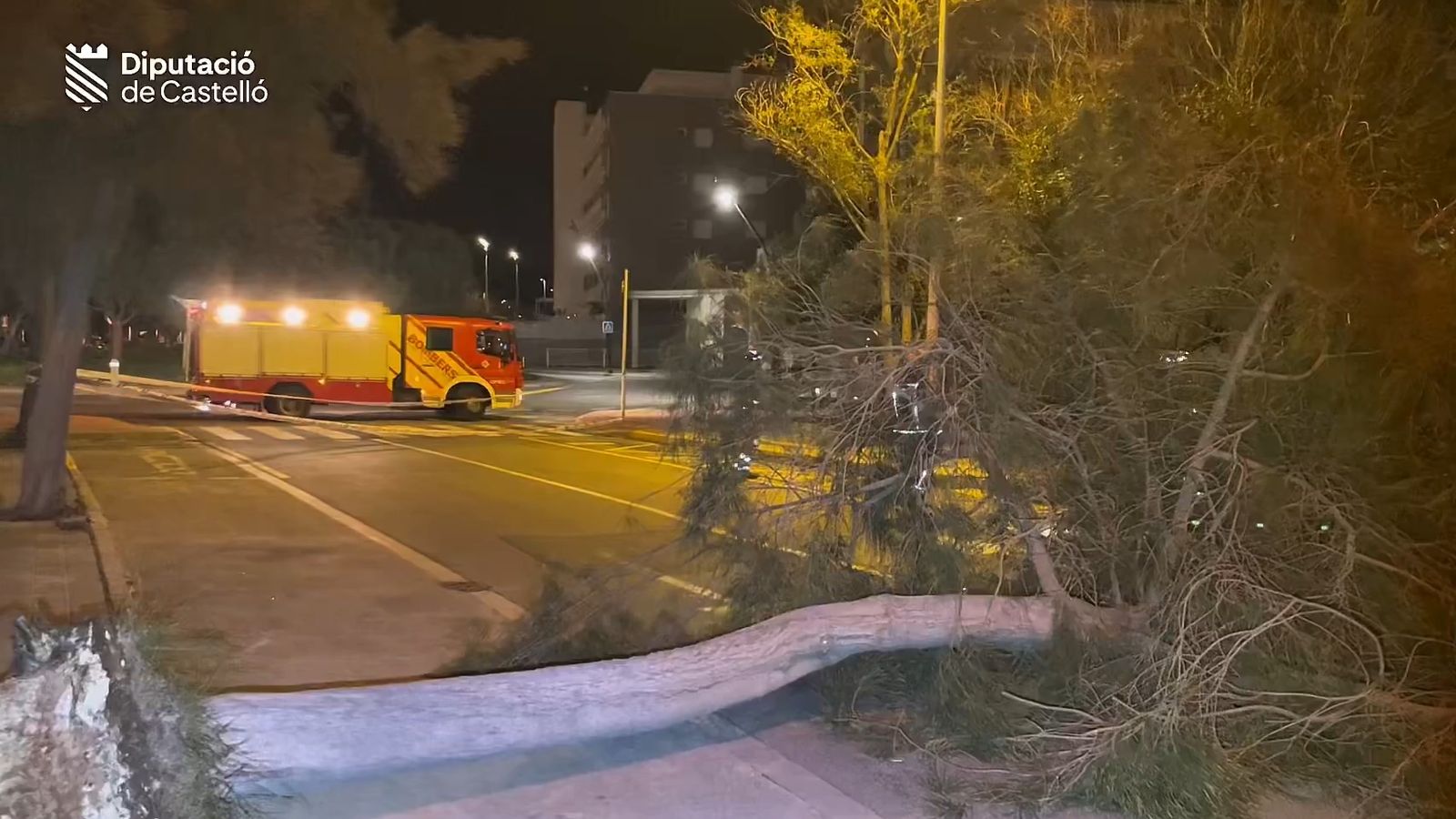 Els bombers treballen en una incidència per un arbre caigut enmig de la via