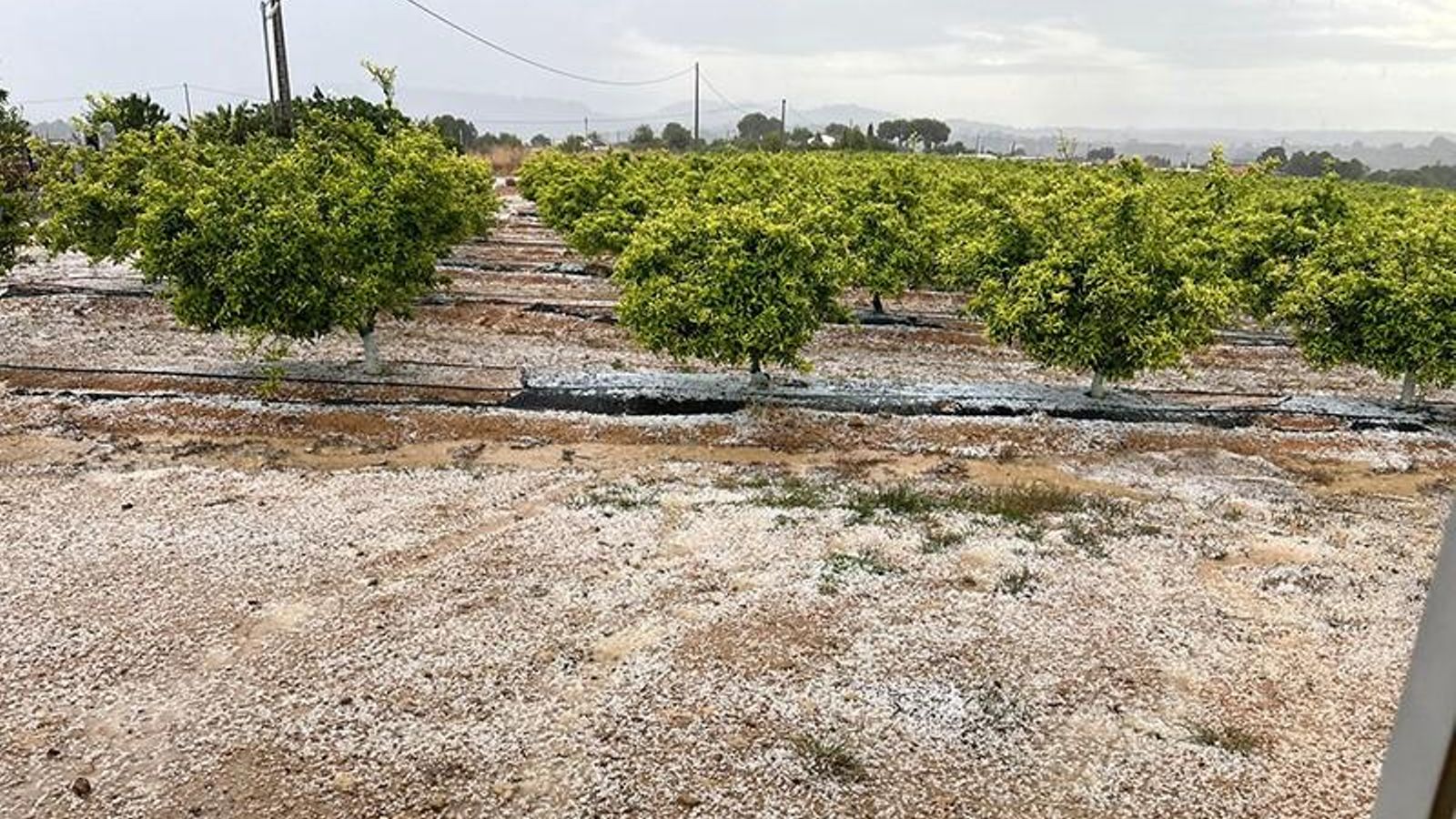 La pedra sobre el camp, a Godelleta (la Foia de Bunyol)