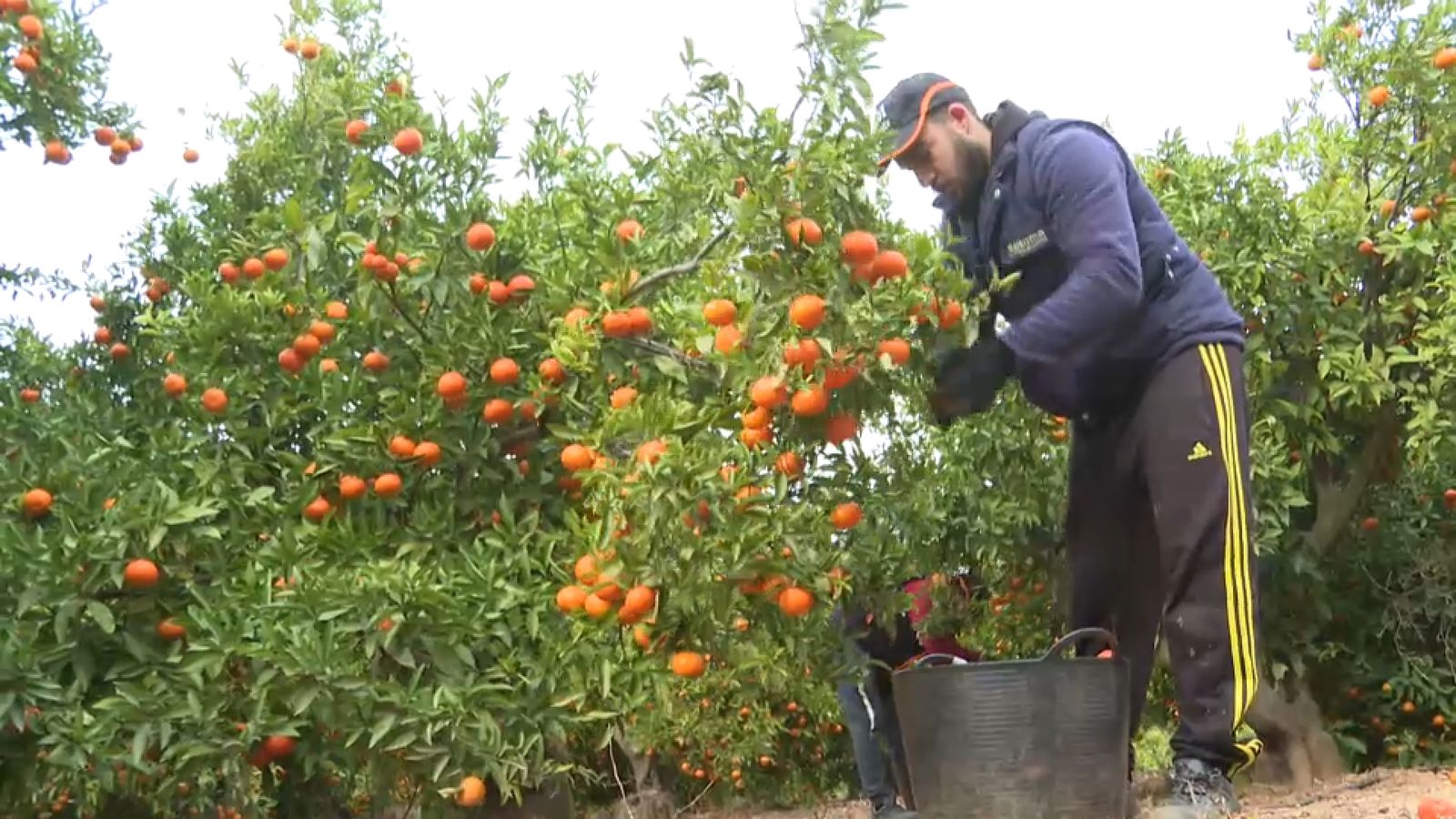 Un collidor, en arxiu