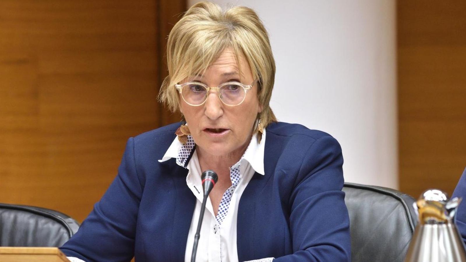 Imatge d'arxiu de la consellera de Sanitat, Ana Barceló, a les Corts