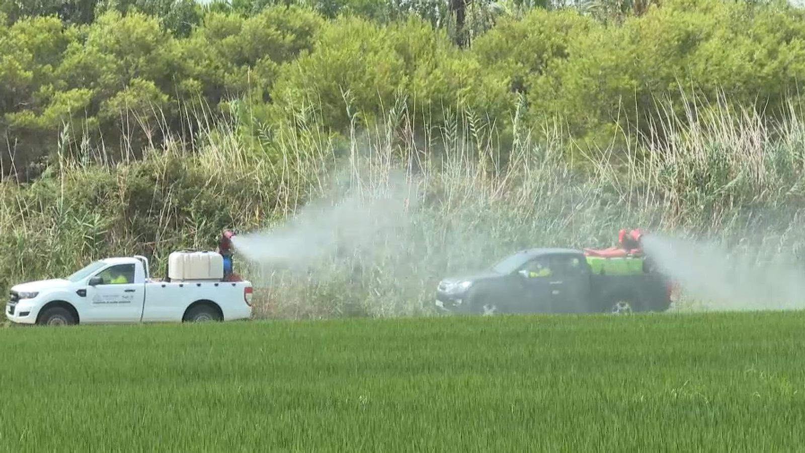 Dos vehicles participen en la fumigació contra els insectes en la marjal, en una imatge d'arxiu