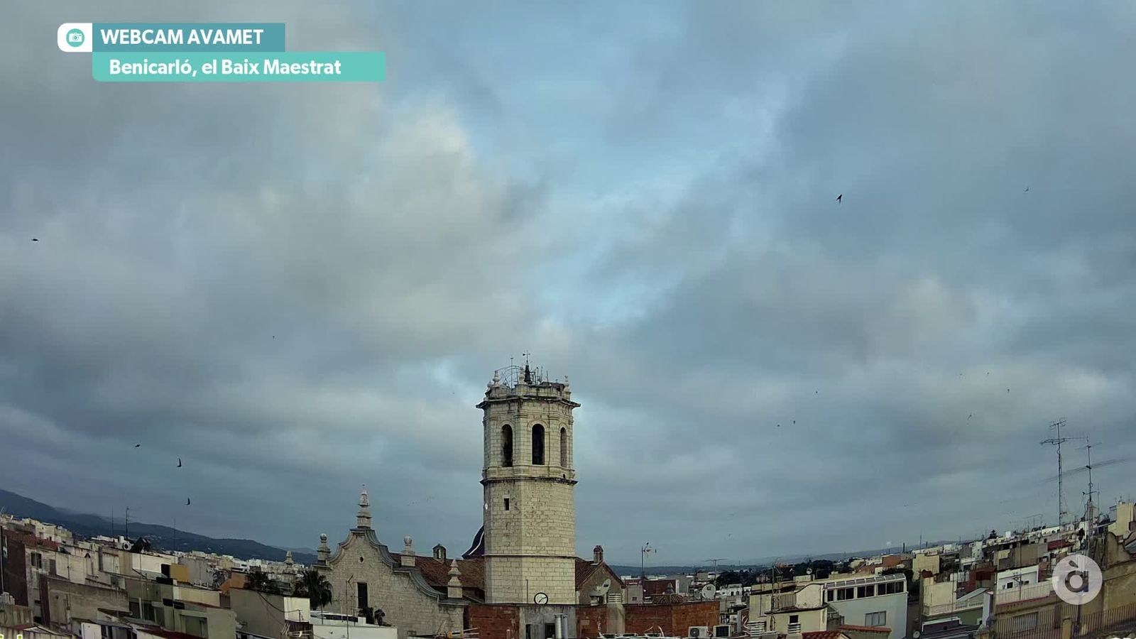captura_2026-05-20 MATI_ANTO_WEBCAM AVAMET_WM