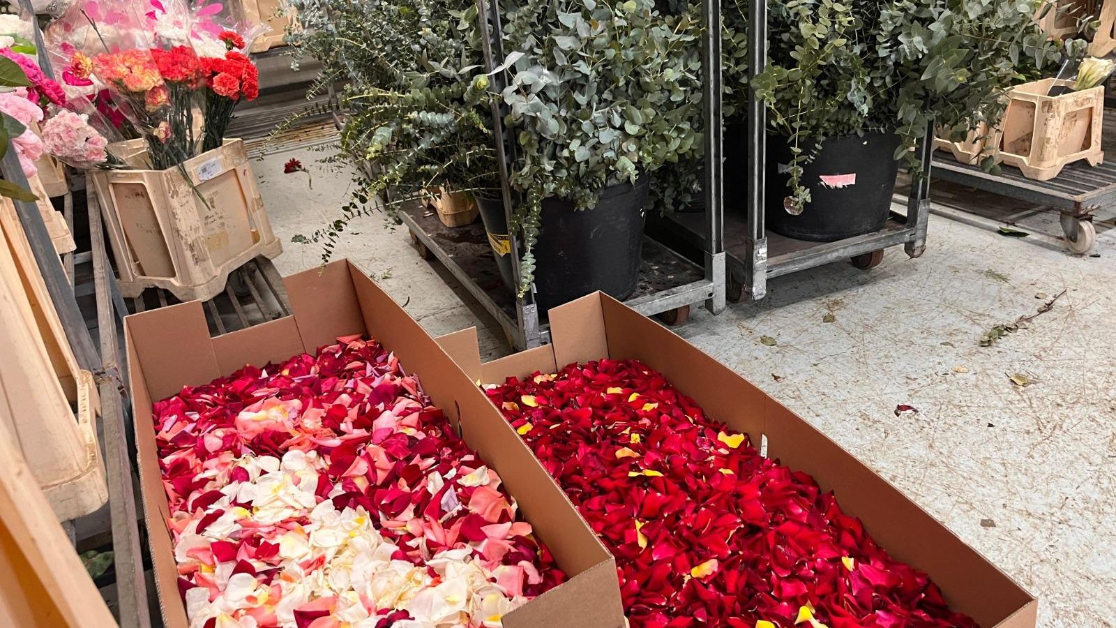 Les vint caixes de pètals portades a la Casa Vestuari
