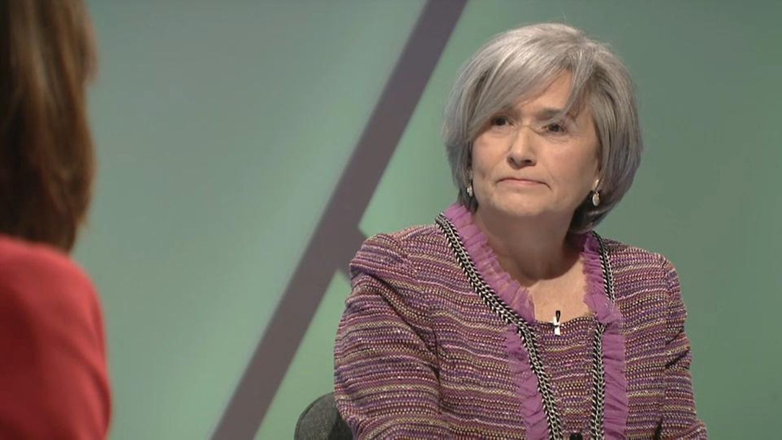 La catedràtica i cap del servei de Pediatria de l’Hospital General de València, Empar Lurbe, durant l'entrevista a ‘La qüestió’