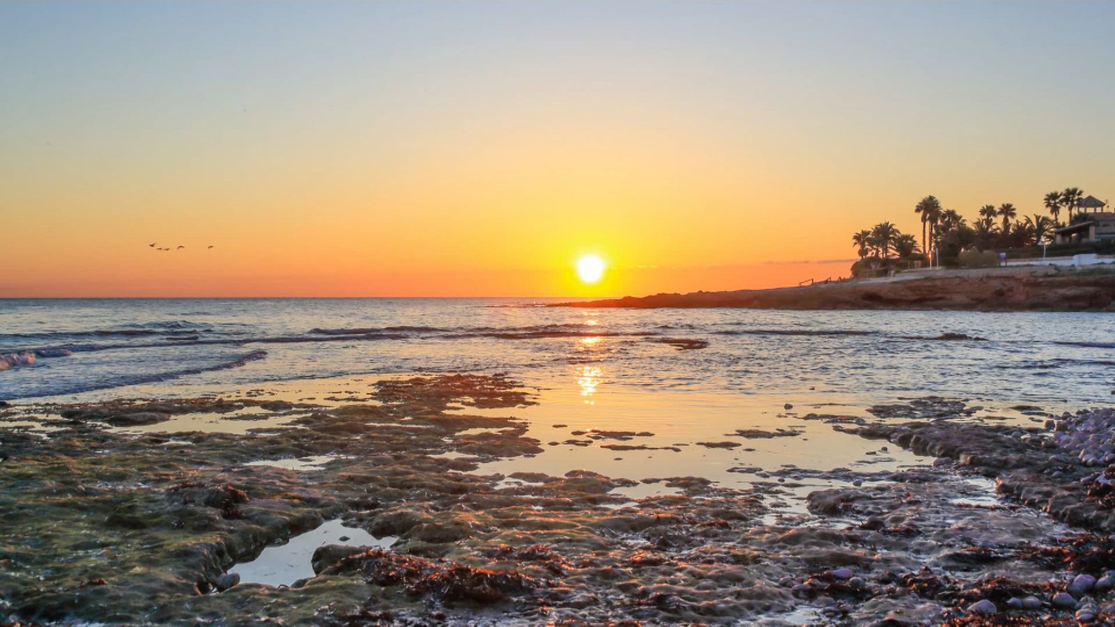 Dénia, la Marina Alta