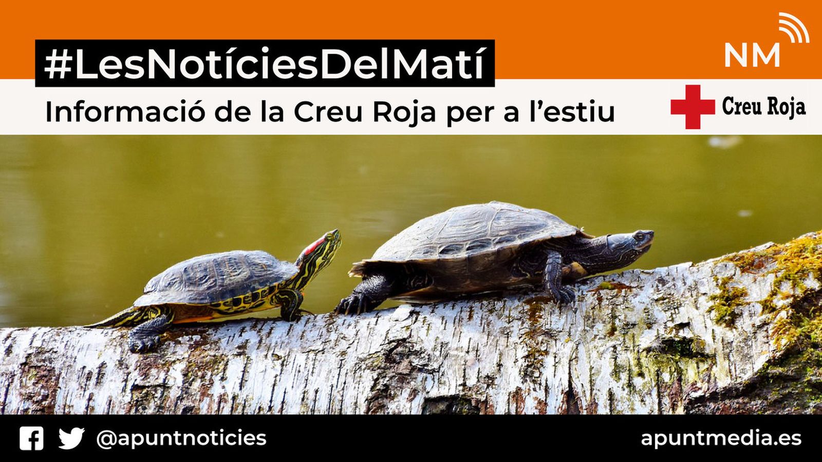 17.07.2018 | Informació de la Creu Roja per a l\'estiu