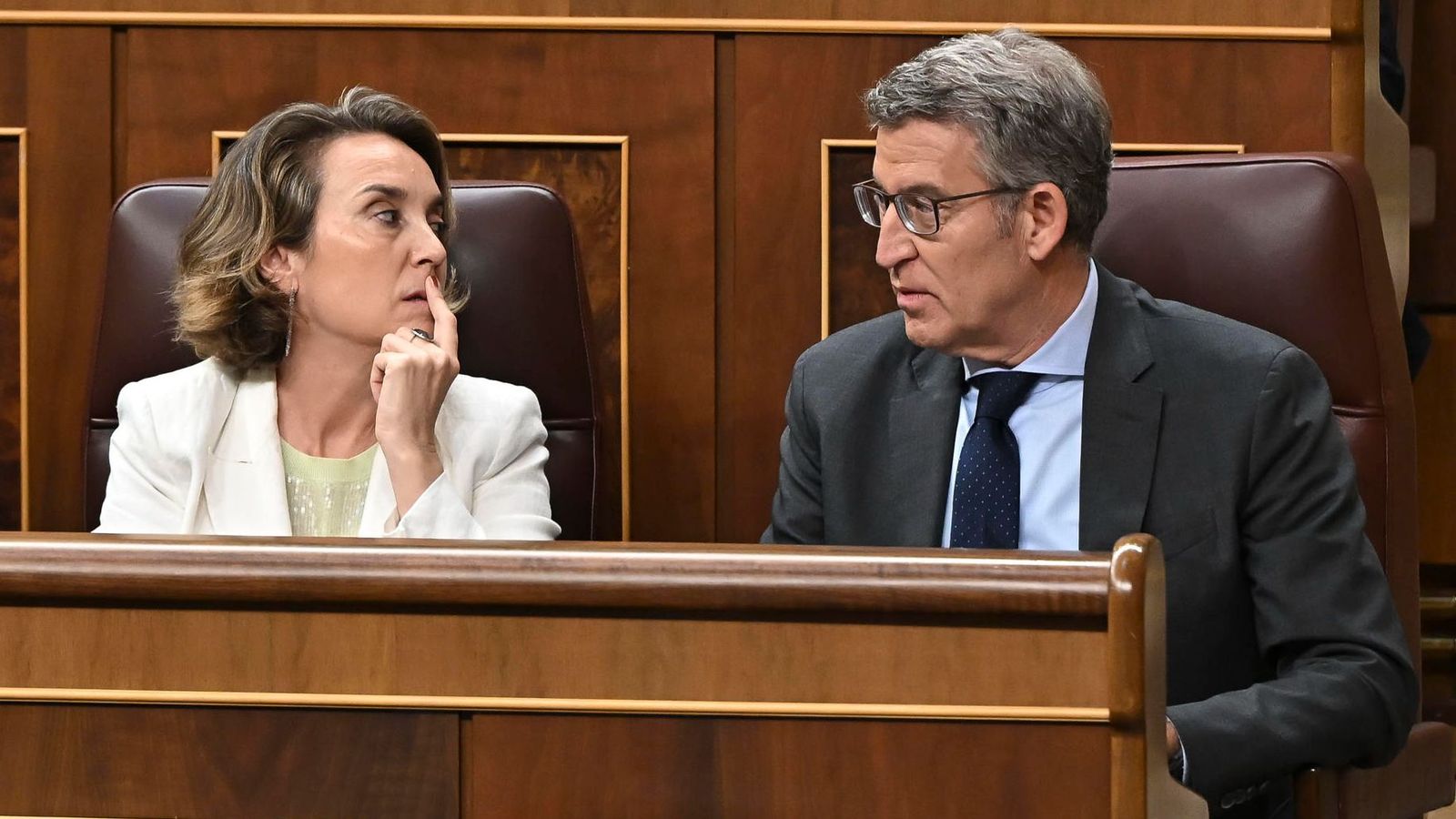 El líder del PP, Núñez Feijóo, i la secretària general dels populars, Cuca Gamarra, en el ple d’este dijous al Congrés