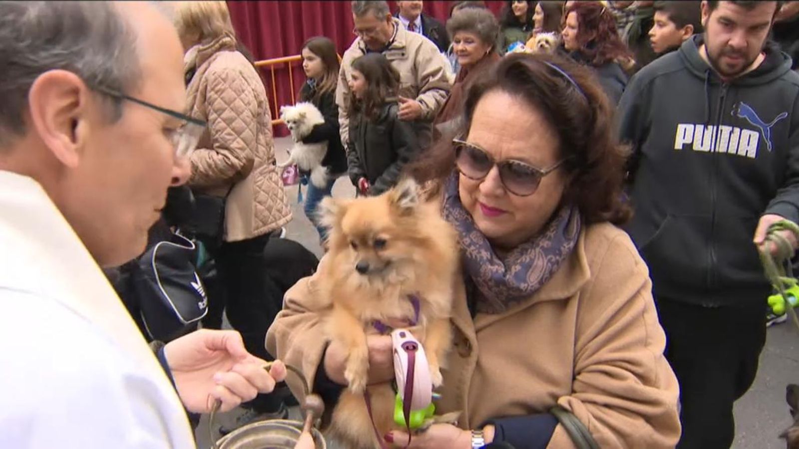 Sant Antoni, festa del foc i dels animals
