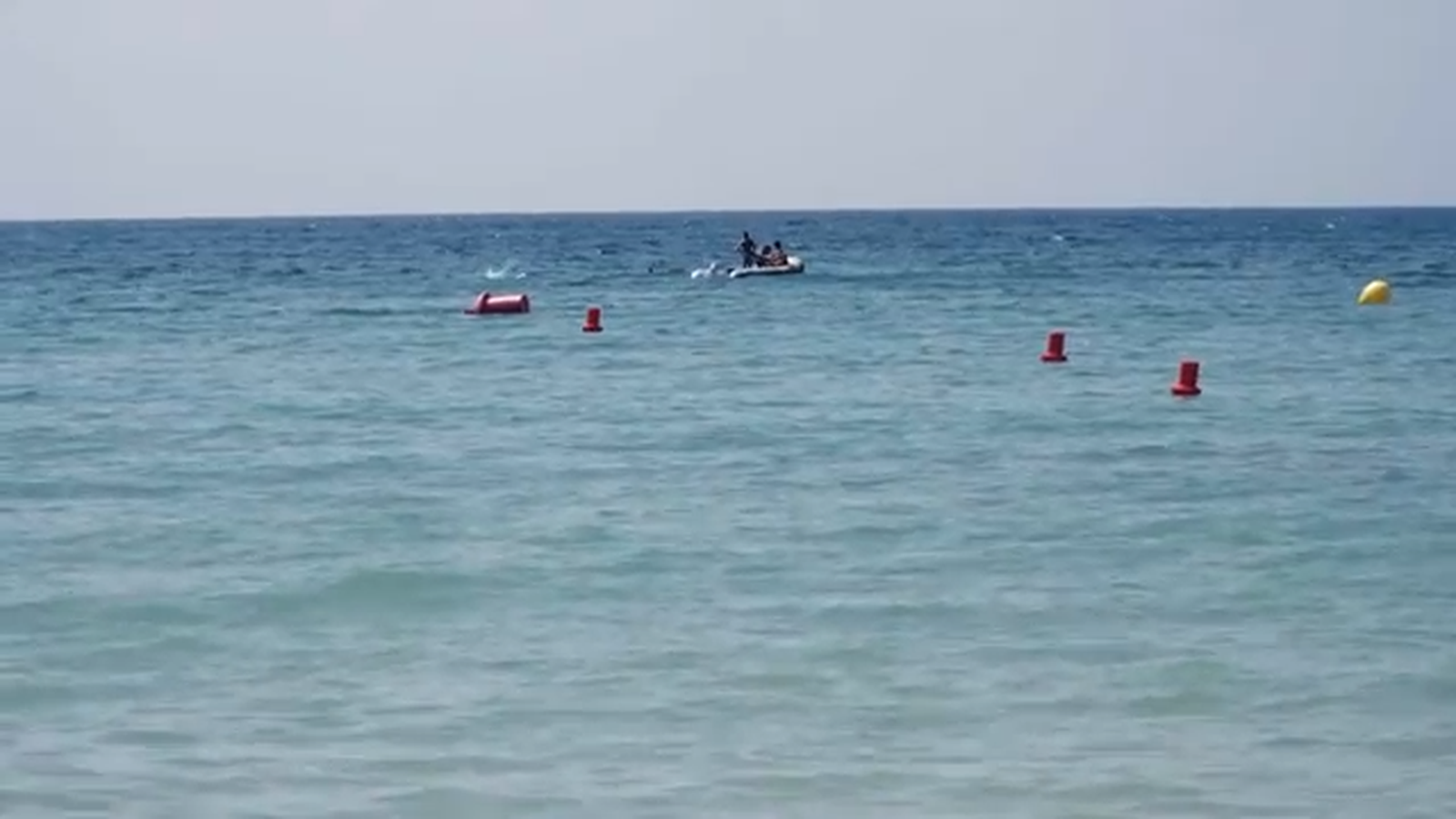 Vigilants de la platja | Una paradeta per dinar