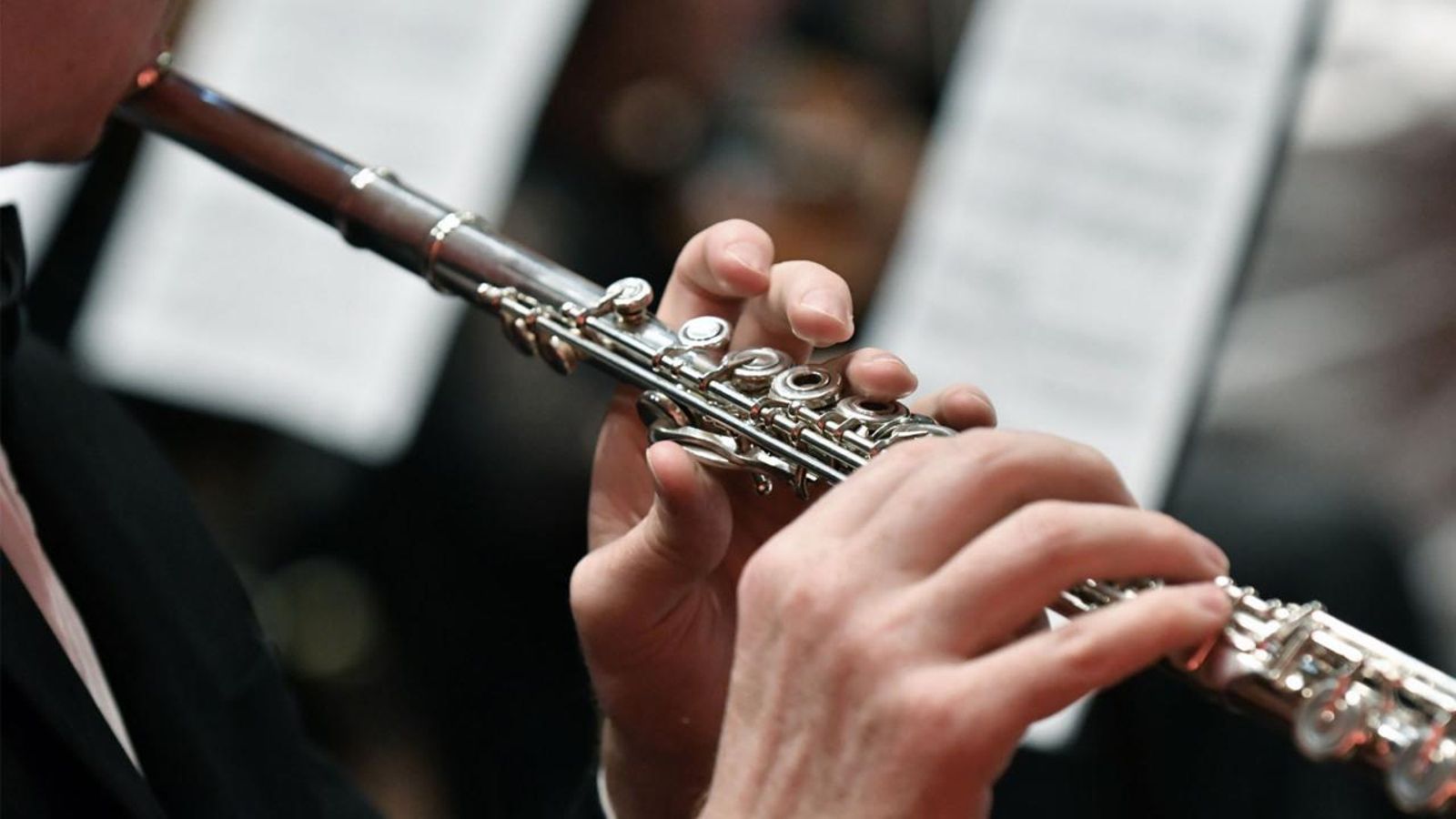 Distingim doblets lingüístics: 'compondre' o 'composar'