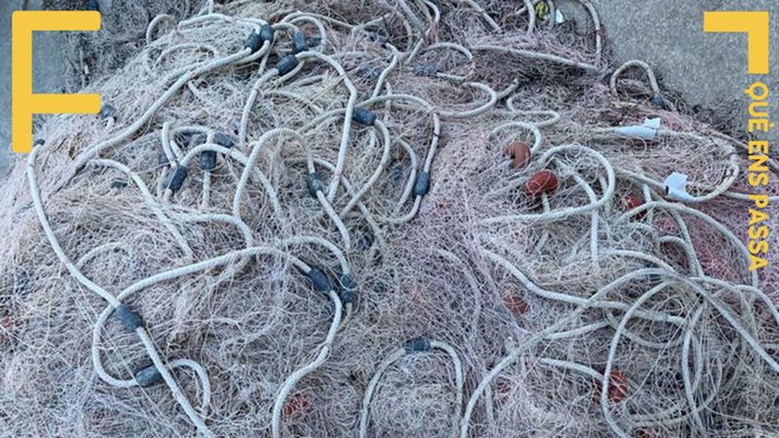 08.02.2019 | Pesca il·legal: De delicte internacional a conflicte local | Extra