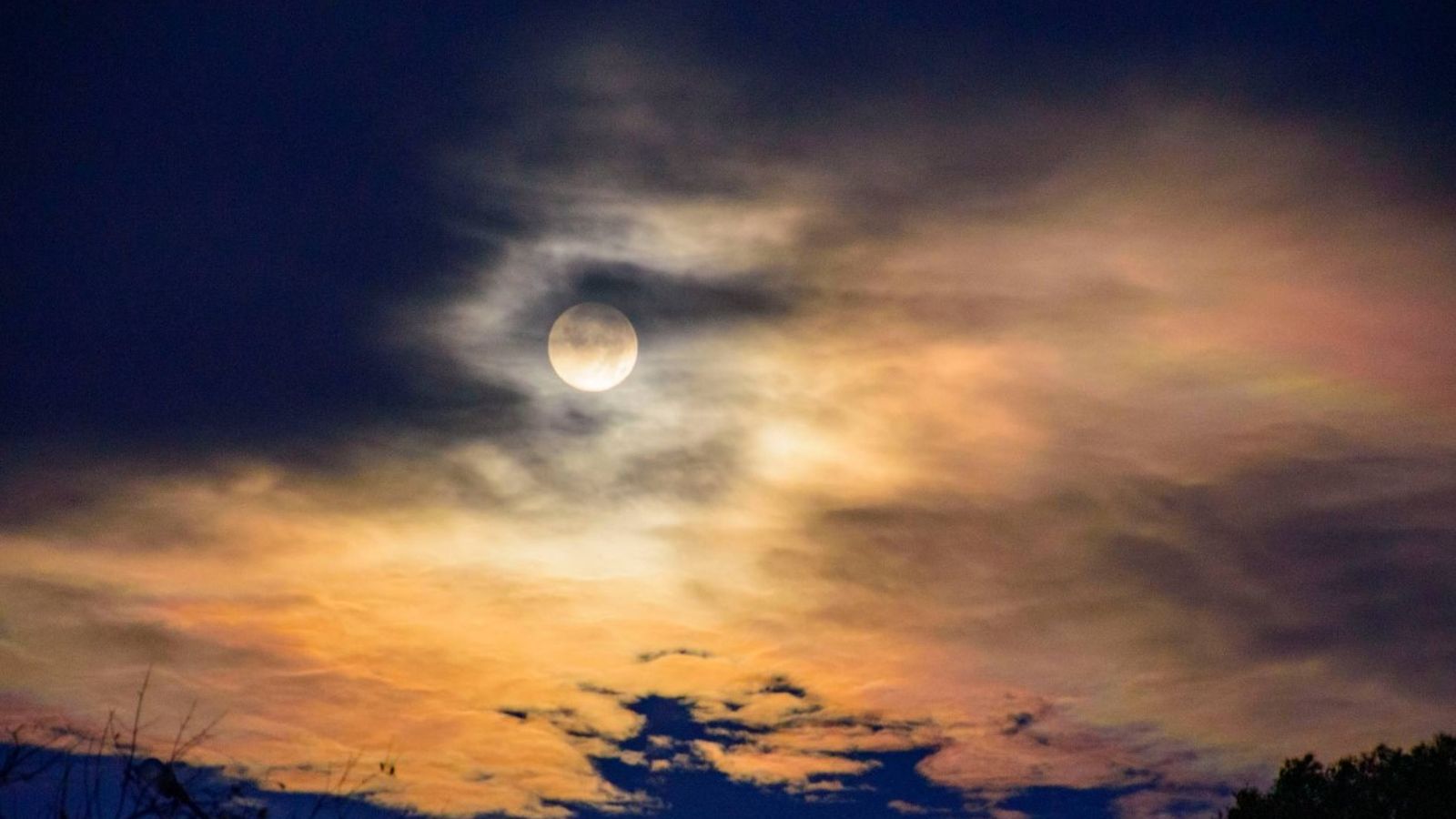 Mª. NIEVES SÁNCHEZ