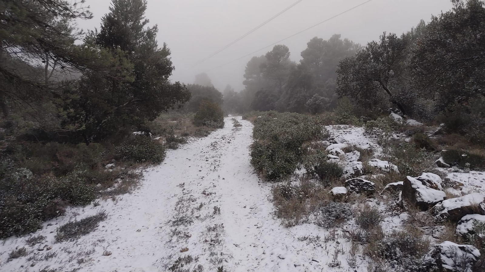 Enfarinada al port de Benifallim