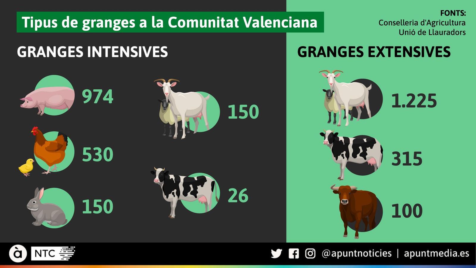 Tipus de granges a la Comunitat Valenciana