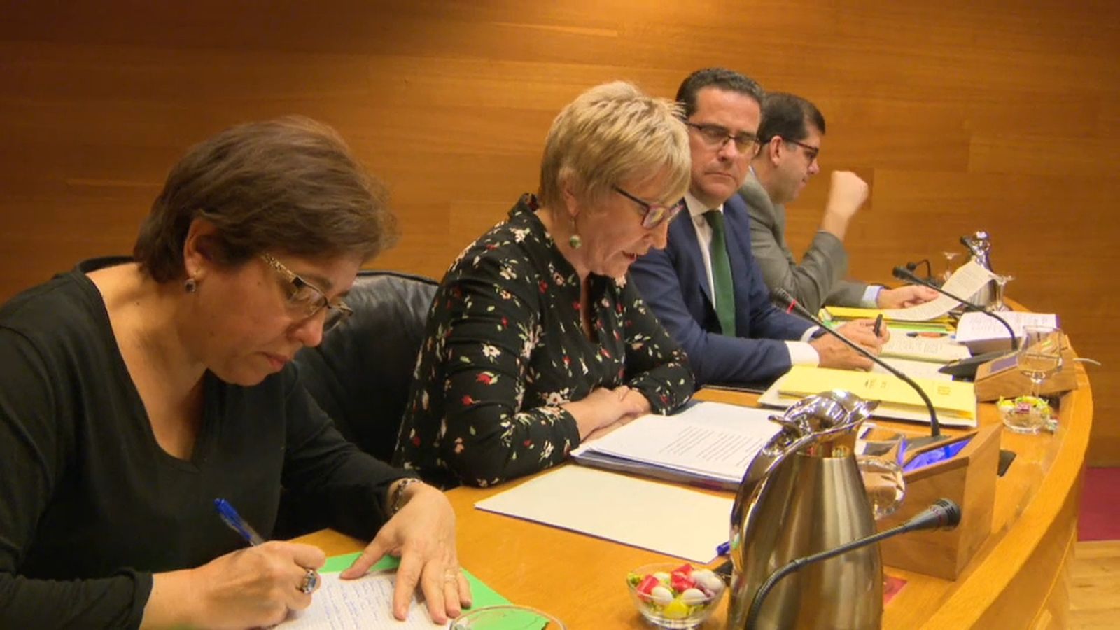 La Consellera de Sanitat durant la compareixença a les Corts.