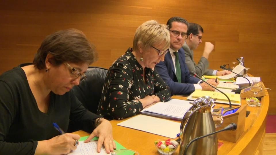 La Consellera de Sanitat durant la compareixença a les Corts. La Consellera de Sanitat durant la compareixença a les Corts.