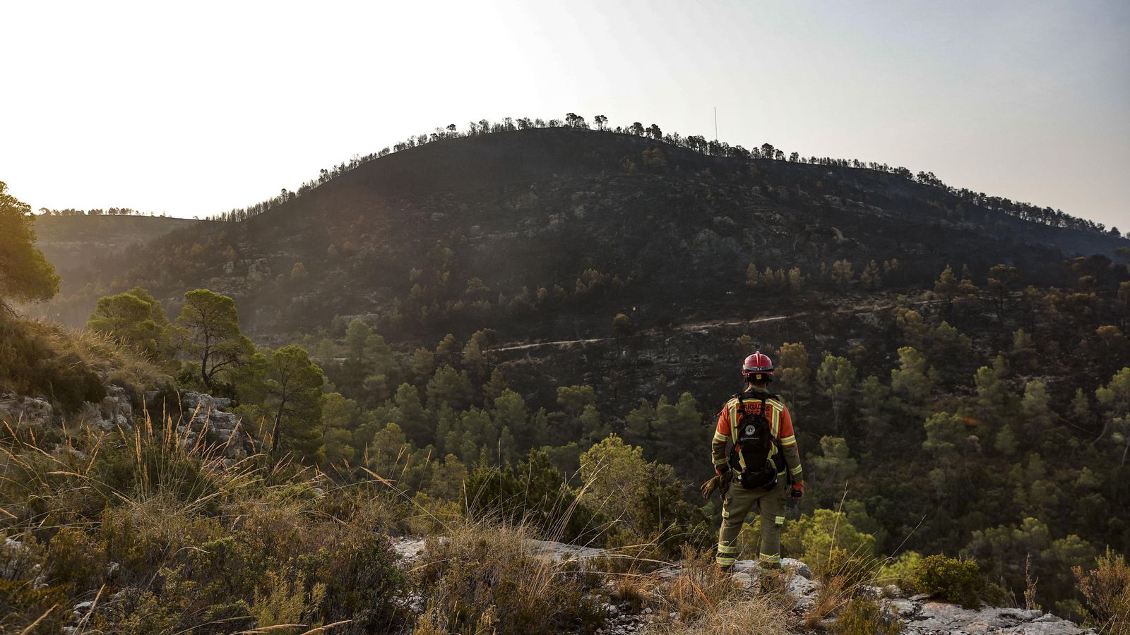 Zona afectada per l'incendi de Teresa de Cofrentes