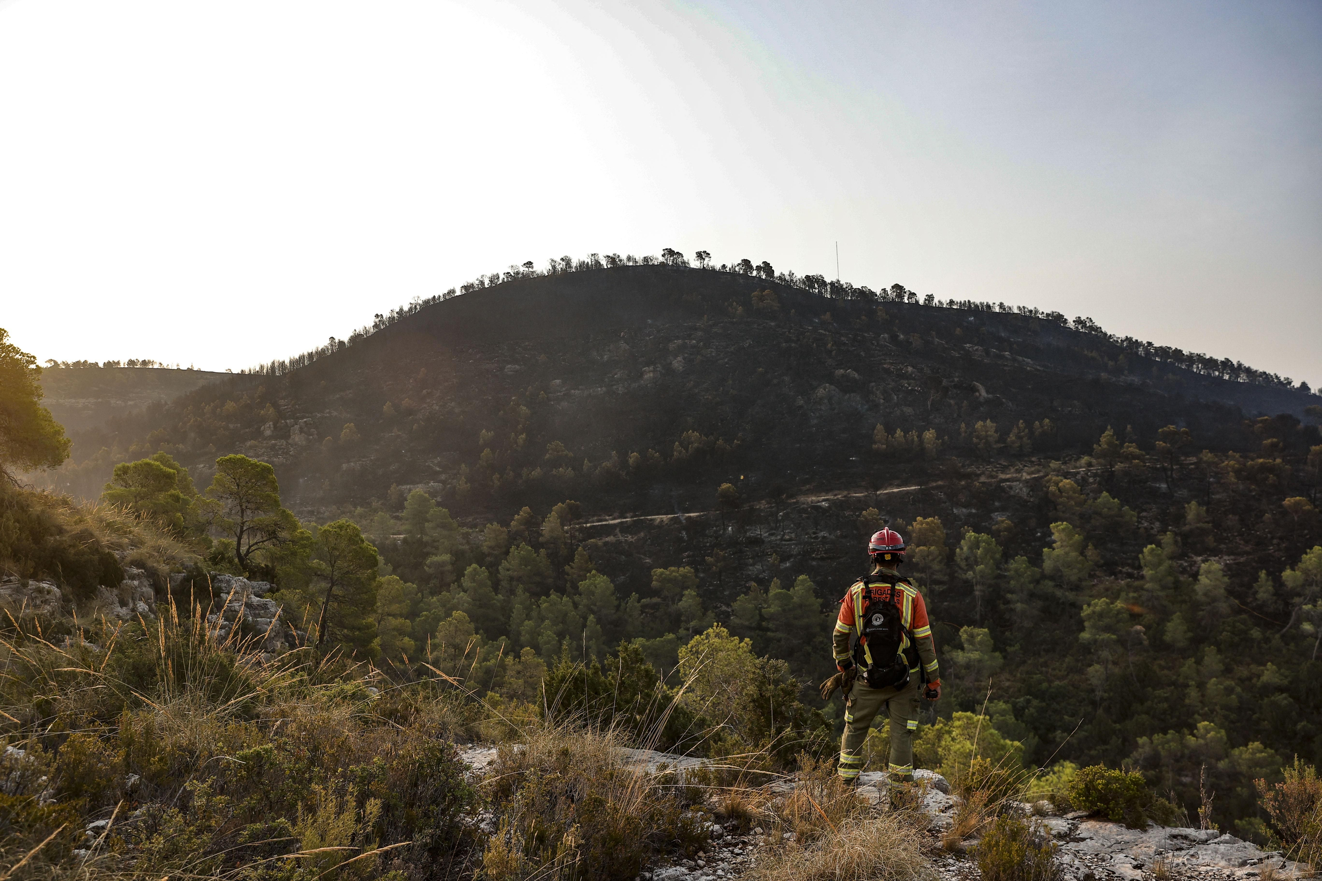 Zona afectada per l'incendi de Teresa de Cofrentes