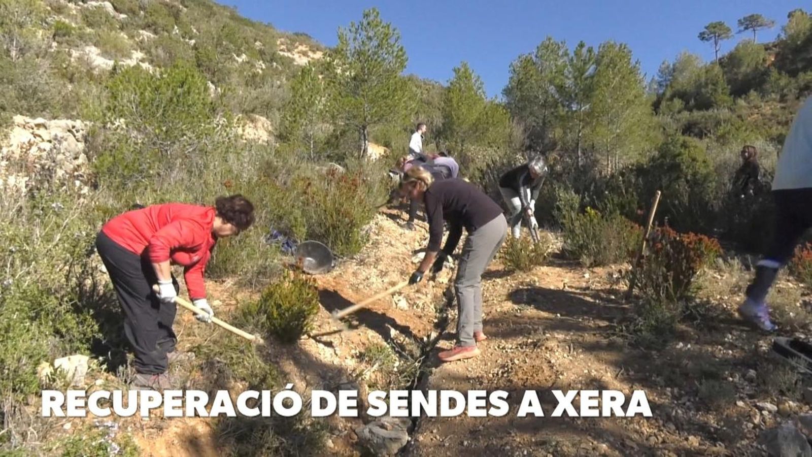 Recuperació de sendes a Sot de Xera