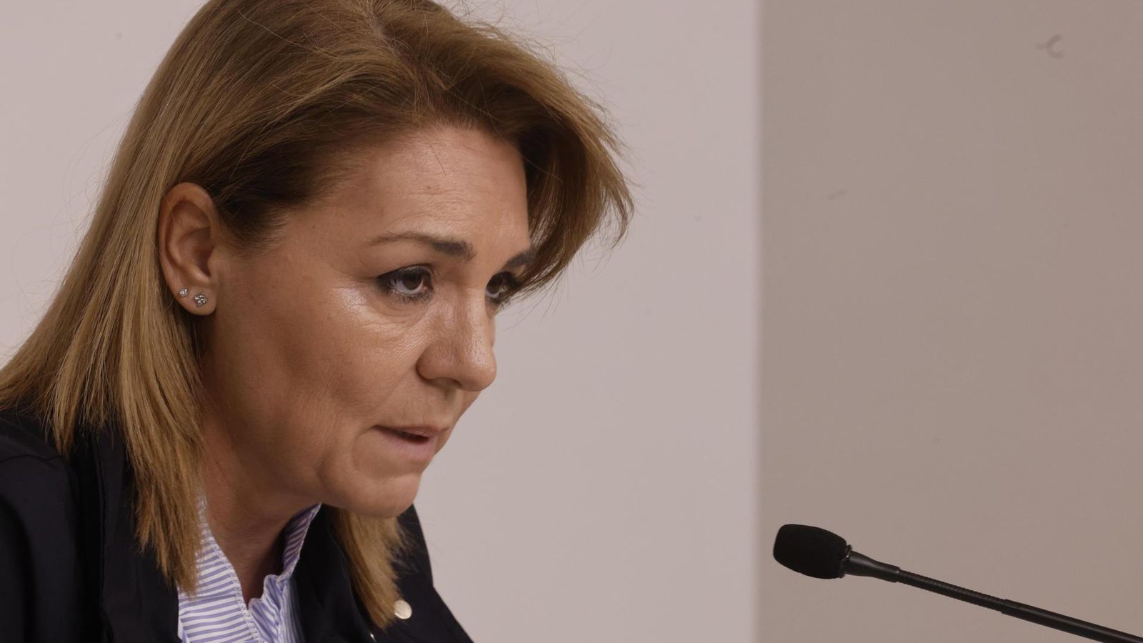 La vicepresidenta del Consell, Susana Camarero, durant la seua intervenció al este diumenge La vicepresidenta del Consell, Susana Camarero, durant la seua intervenció al este diumenge.
