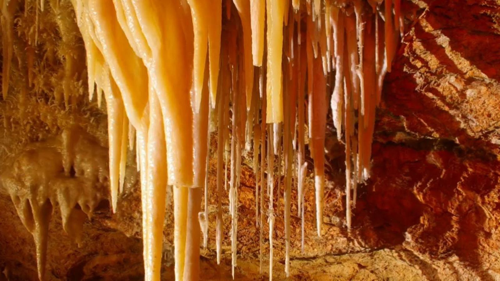 Les meravelles sota l\'autopista