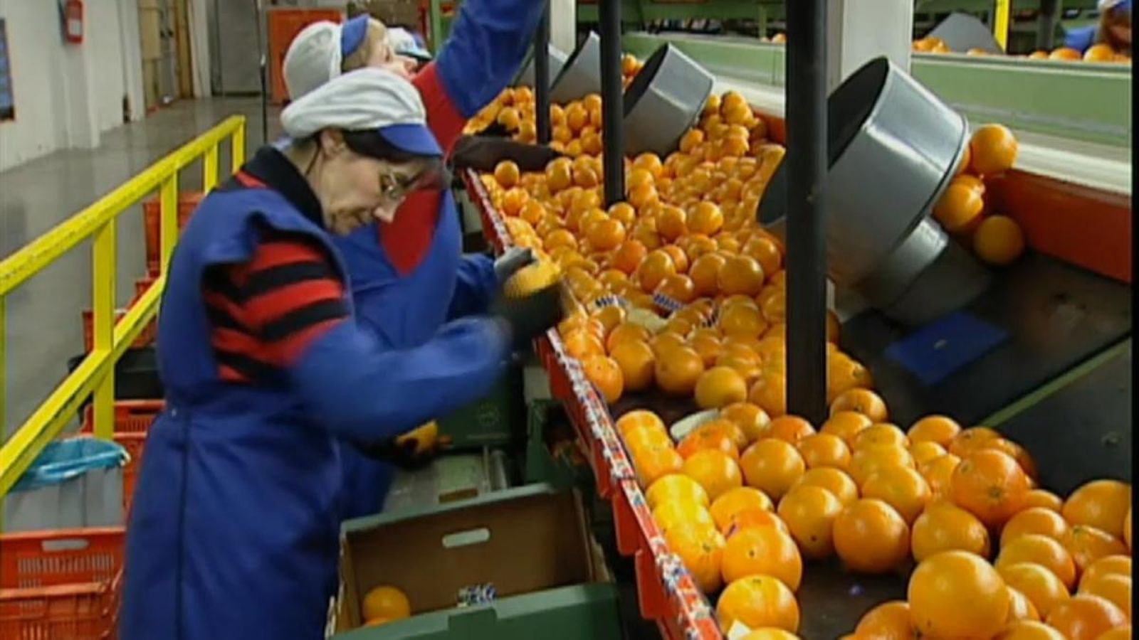 Els aranzels de Trump amenacen més de 1.500 productes agrícoles de la UE