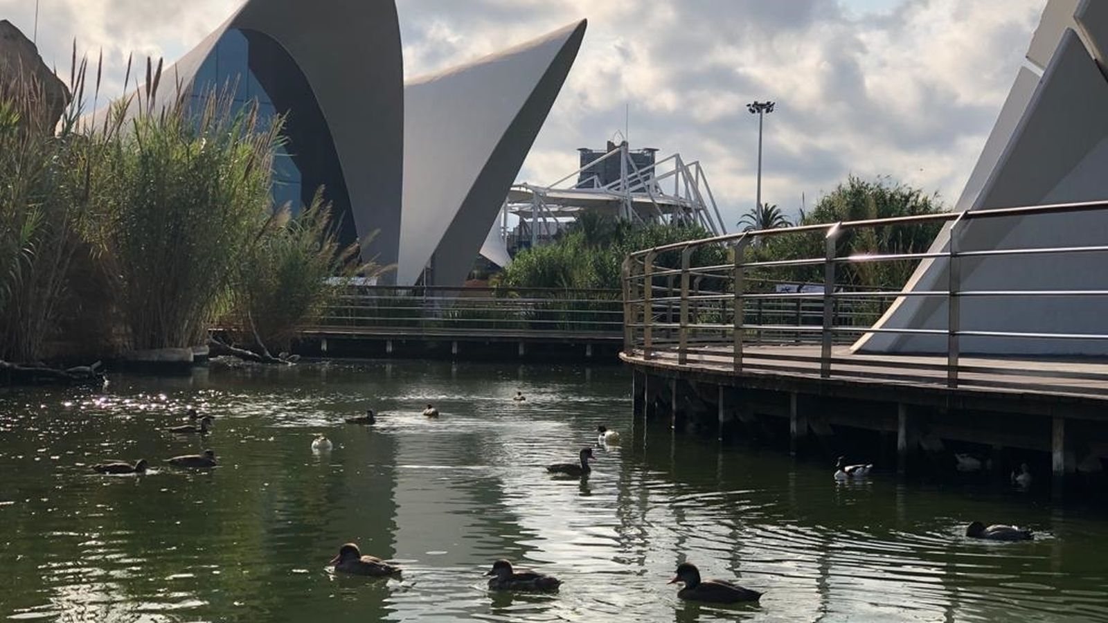 L'Oceanogràfic en una imatge d'arxiu