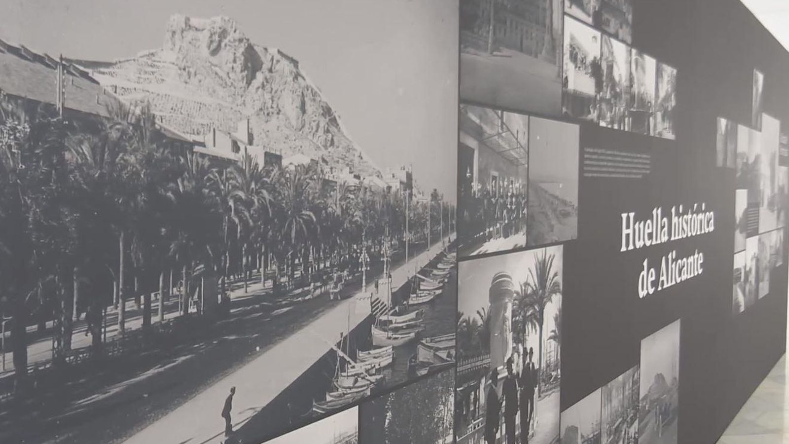 Mostra de René Bardín