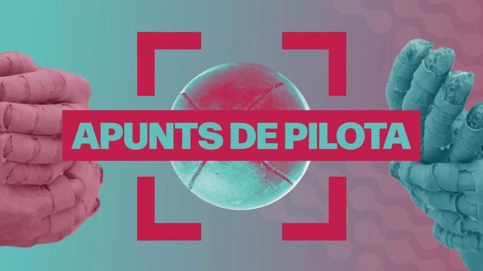 Apunts de pilota
