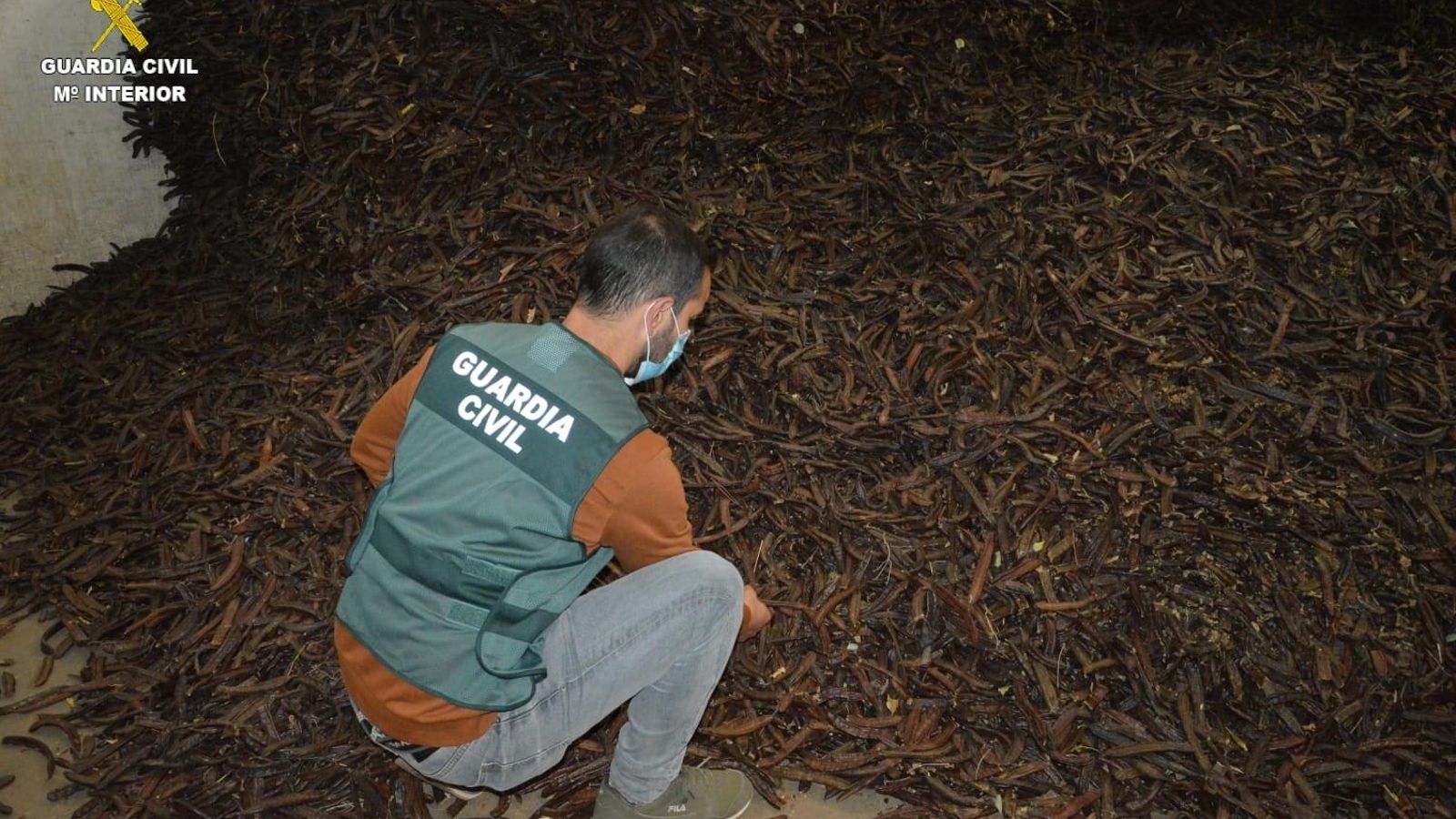 Un agent de la Guàrdia Civil, amb la mercaderia incautada