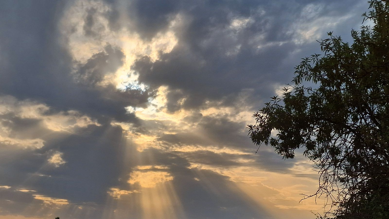 RAFA BOSCÁ, Llutxent, la Vall d'Albaida