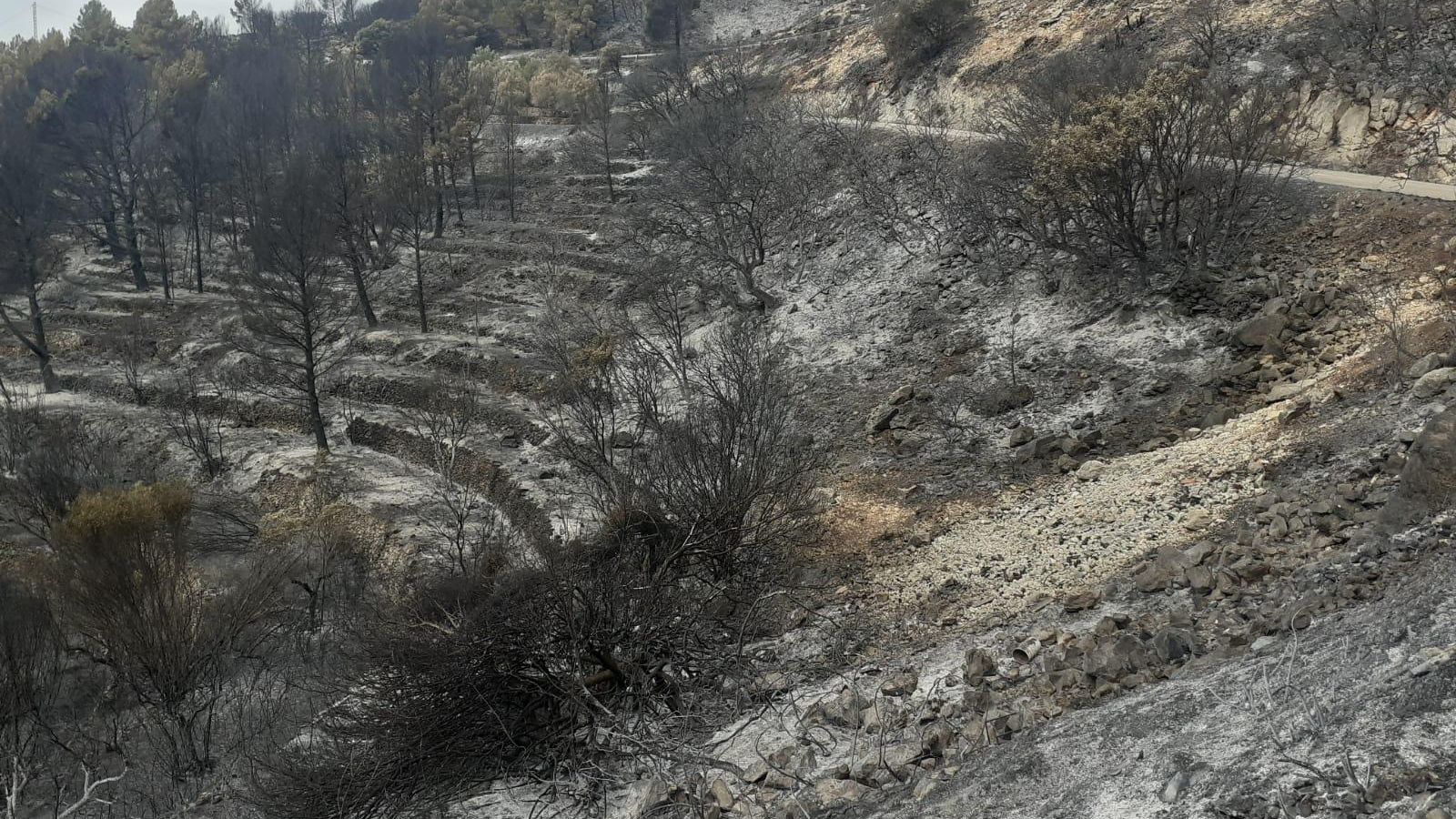 Terrenys afectats per l'incendi