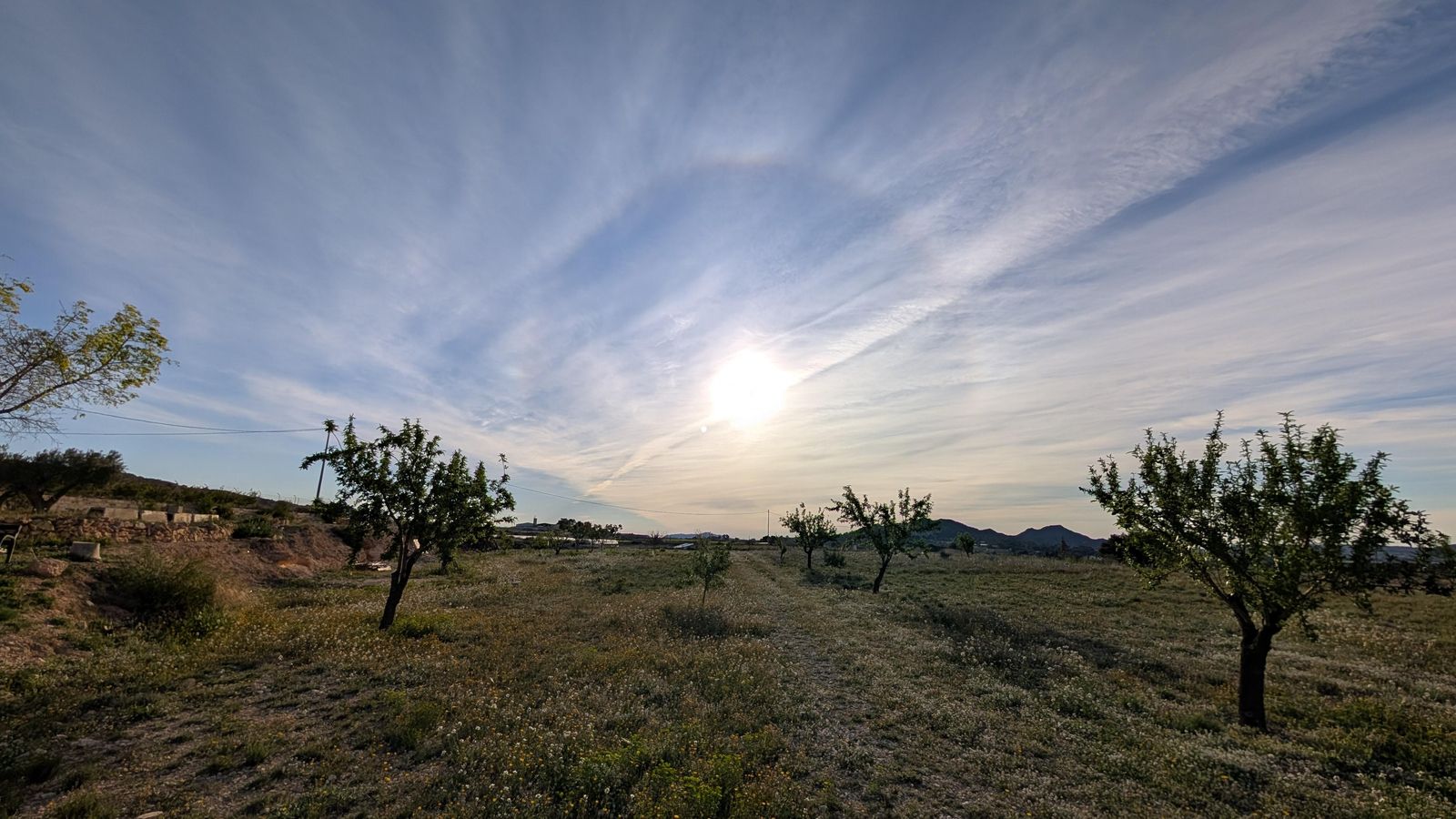 FERRAN BELTRÀ, La Romana, l'Alt