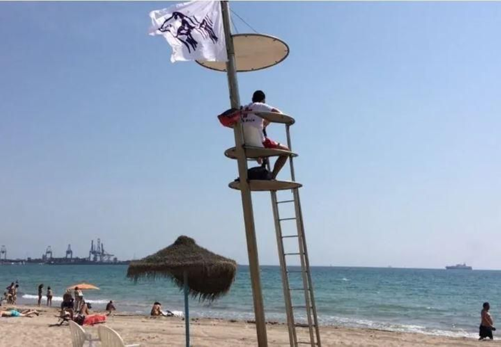 Bandera que indica la presència d'animals marítims a la platja del Saler