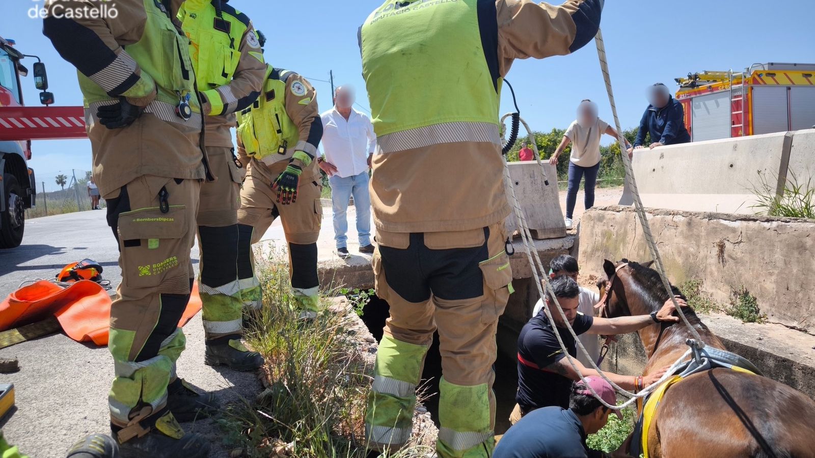 Moment del rescat d'un cavall que havia caigut en una sèquia
