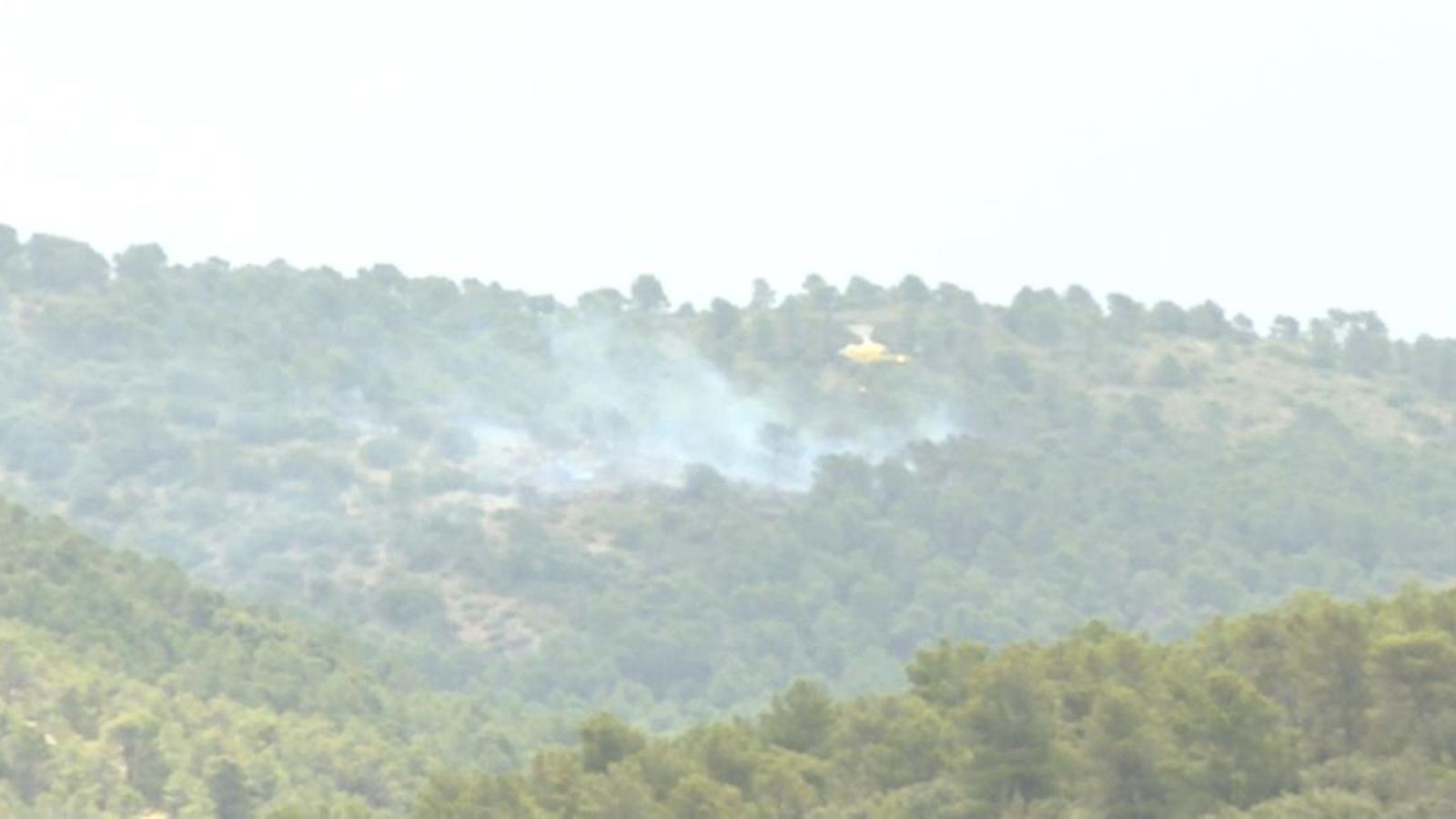 Incendi forestal al terme d’Onil