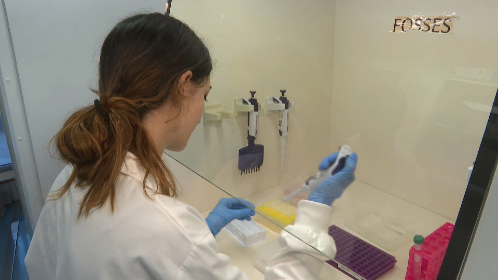 El treball dels científics permet identificar víctimes del franquisme