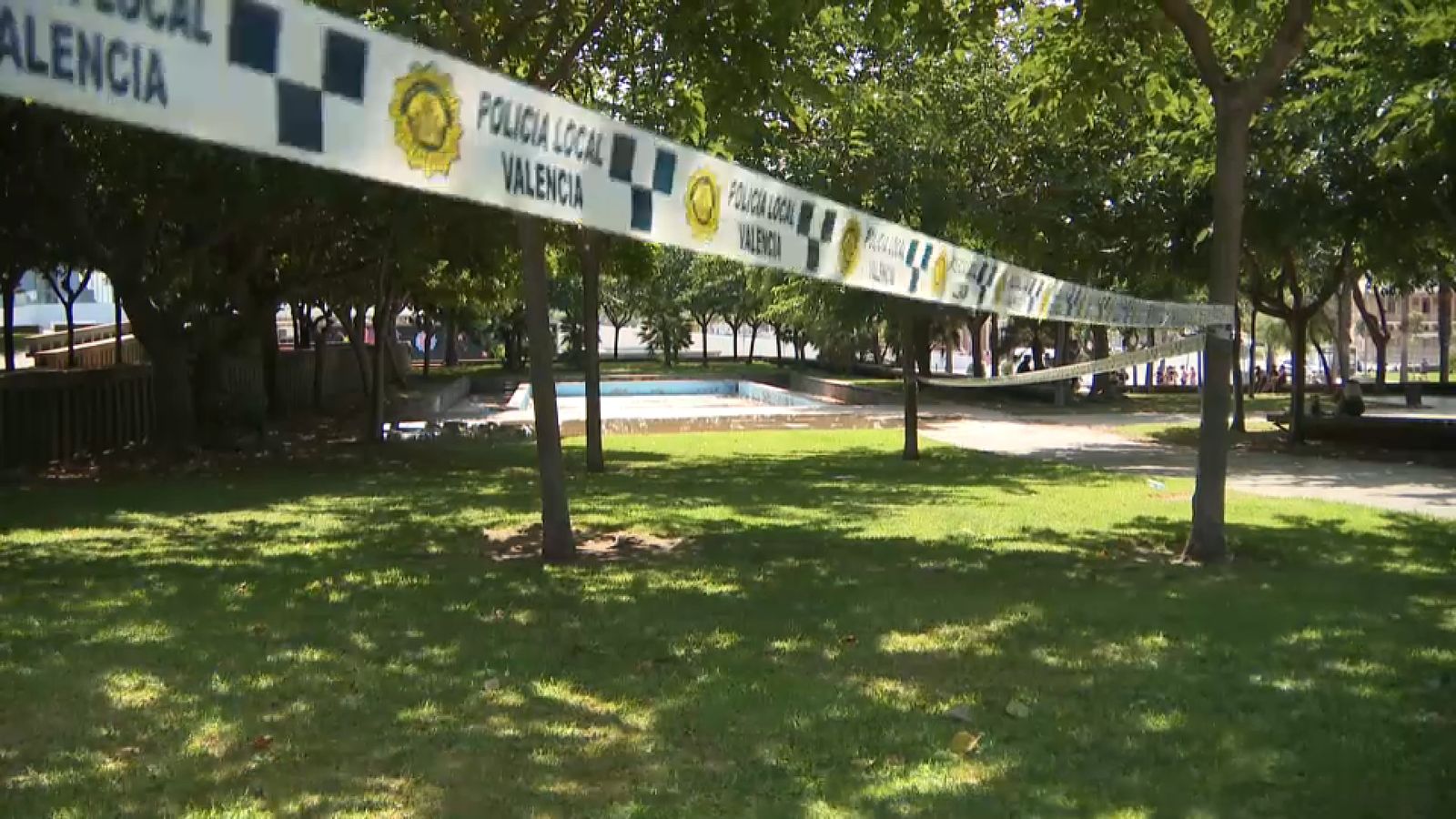 Arbre en què ha impactat el llamp, precintat per la policia local