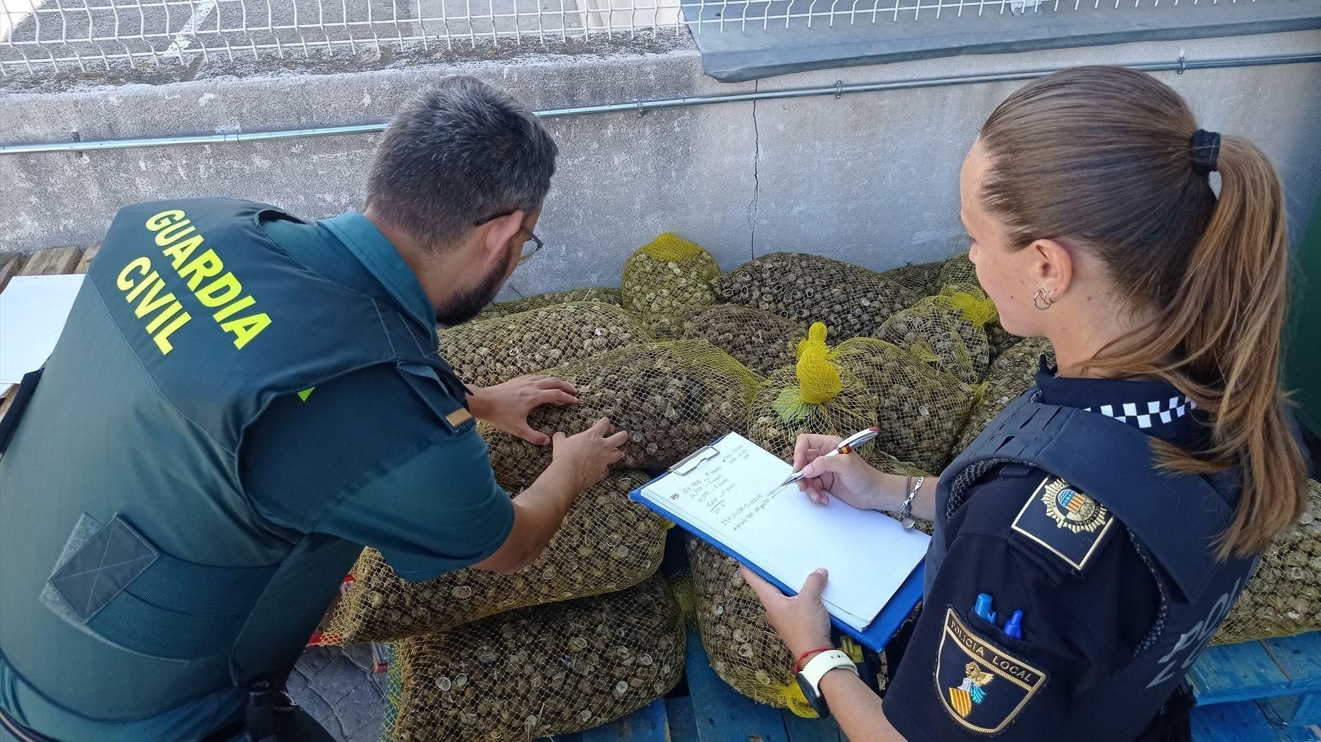 Els caragols confiscats Caragols confiscats a Guadassuar