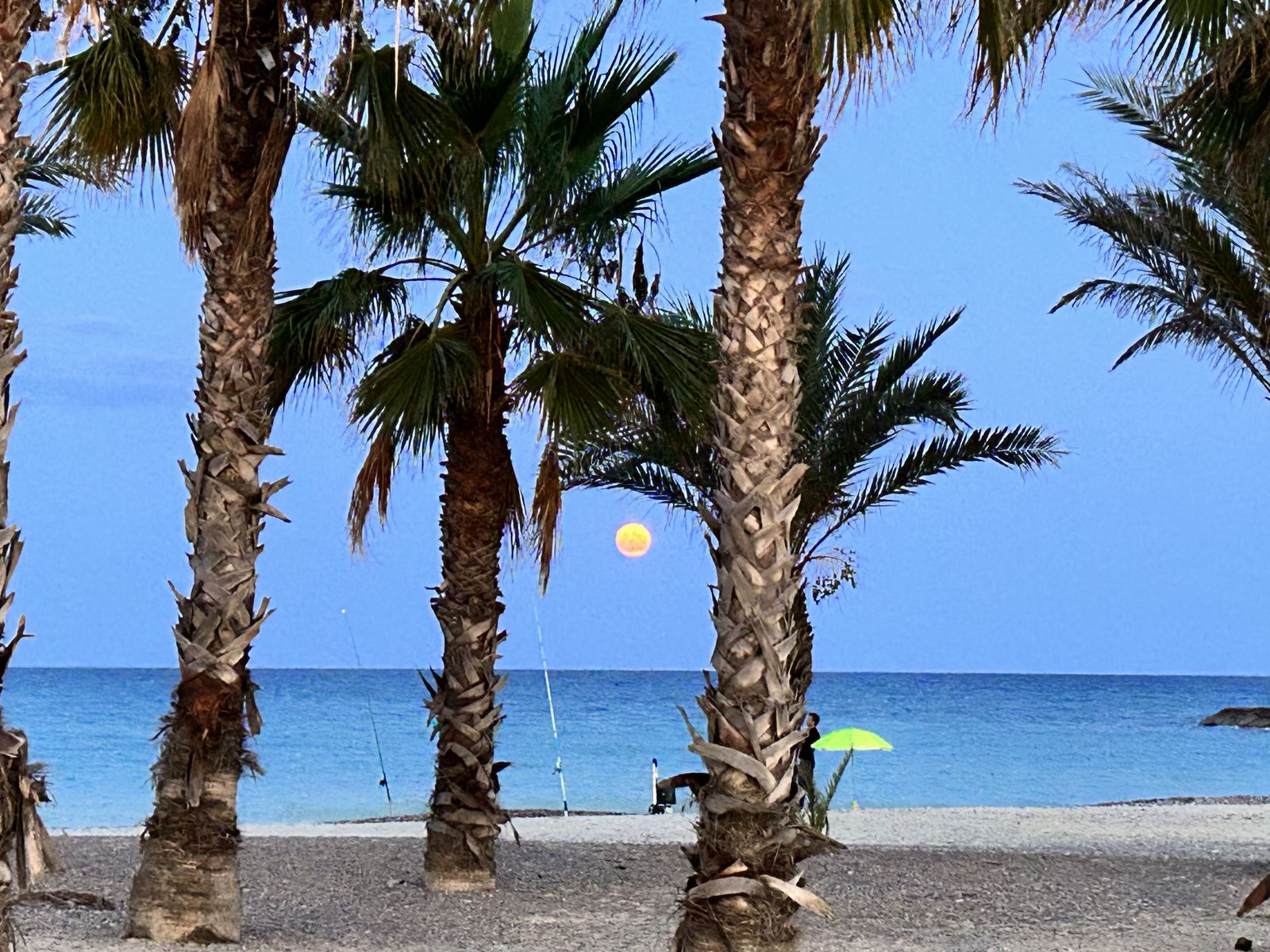 Almassora (Plana Alta) 