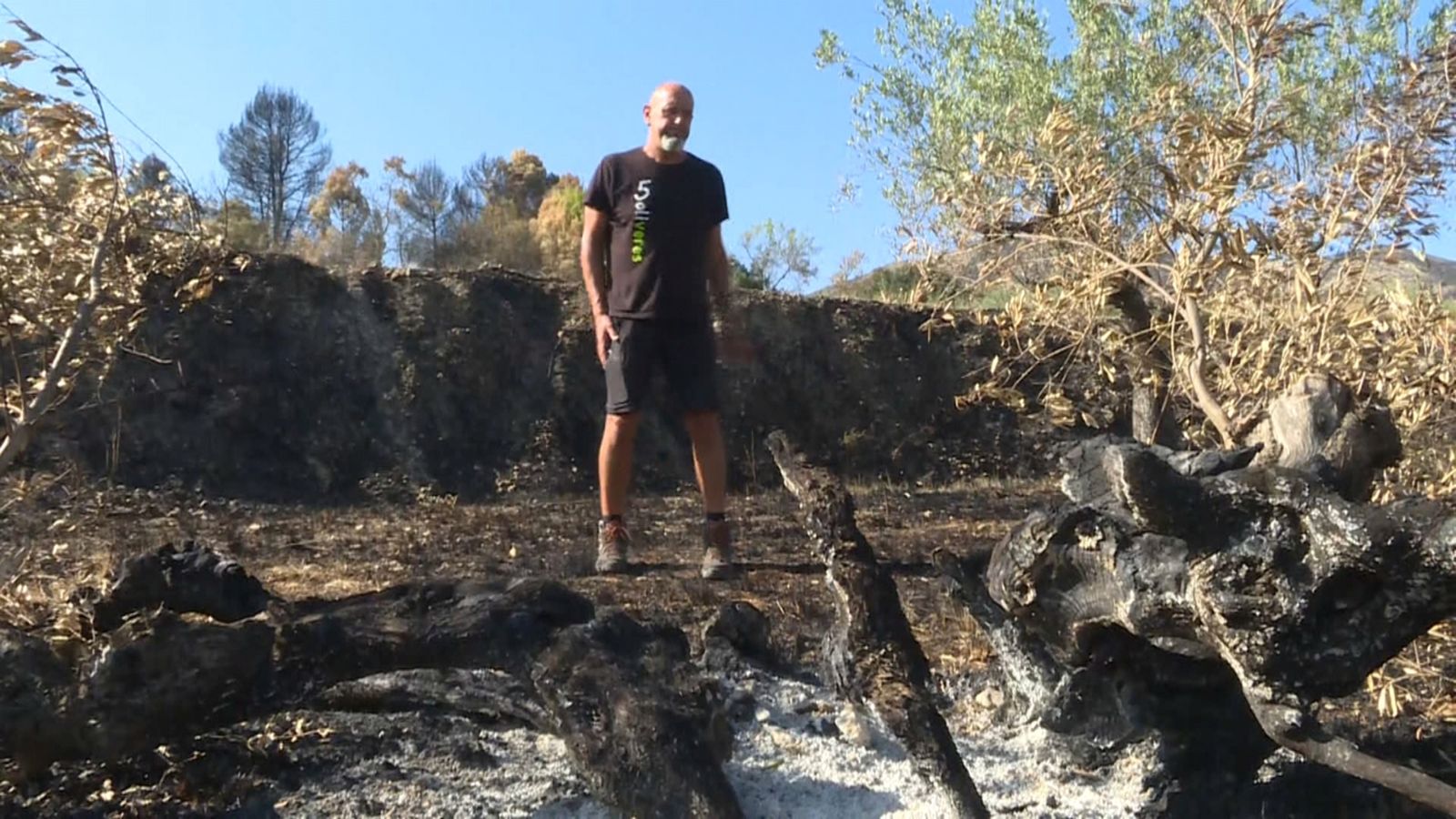 Les flames han cremat camps d’oliveres i de cirerers